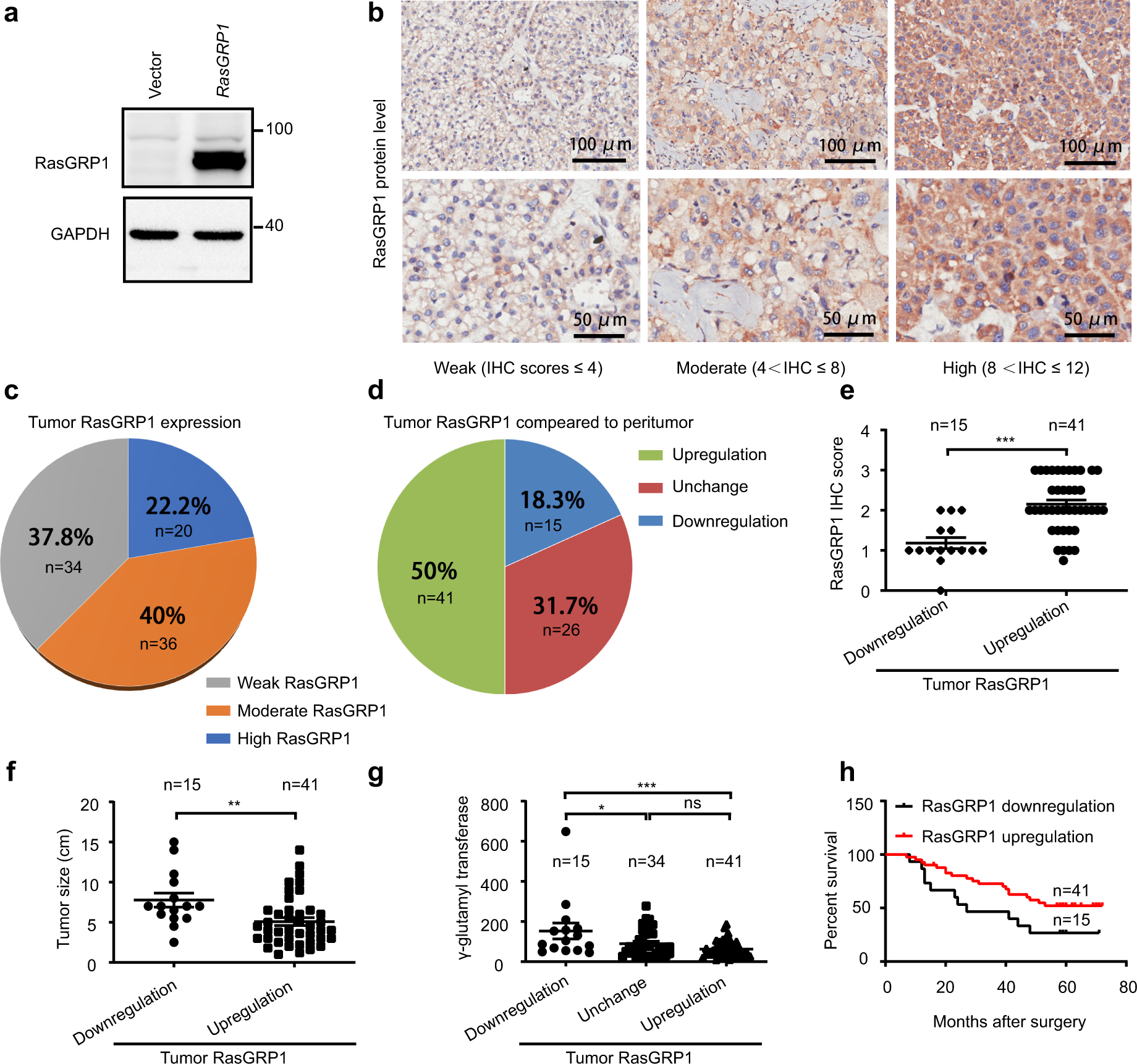 Fig. 7: RasGRP1 affects the prognosis of liver cancer patients.