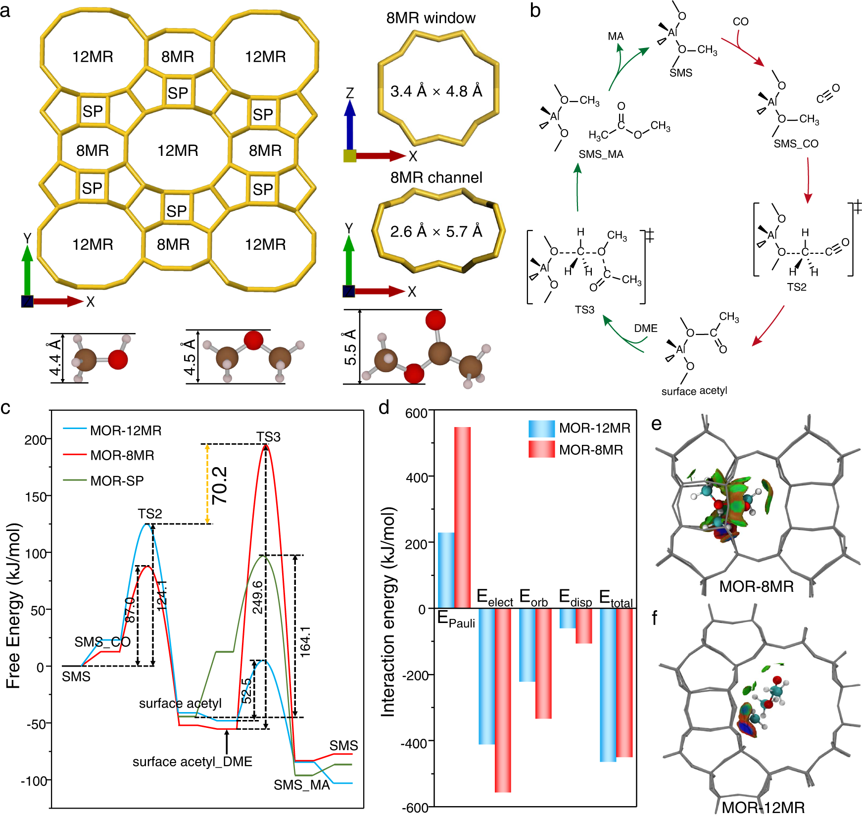 Fig. 1: Mechanism of DME carbonylation in mordenite.