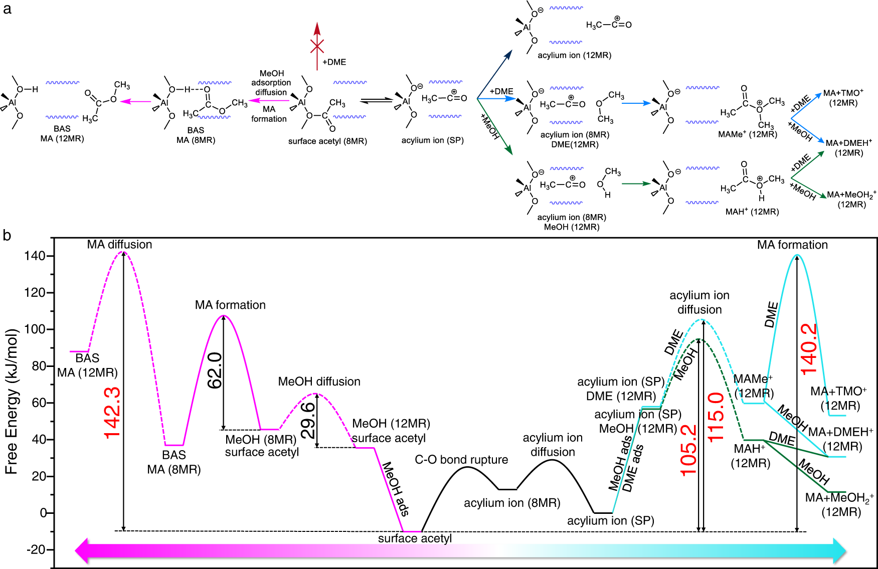 Fig. 3: MA formation based on the acylium ion in the side pocket (SP) and surface acetyl in the 8MR channel.