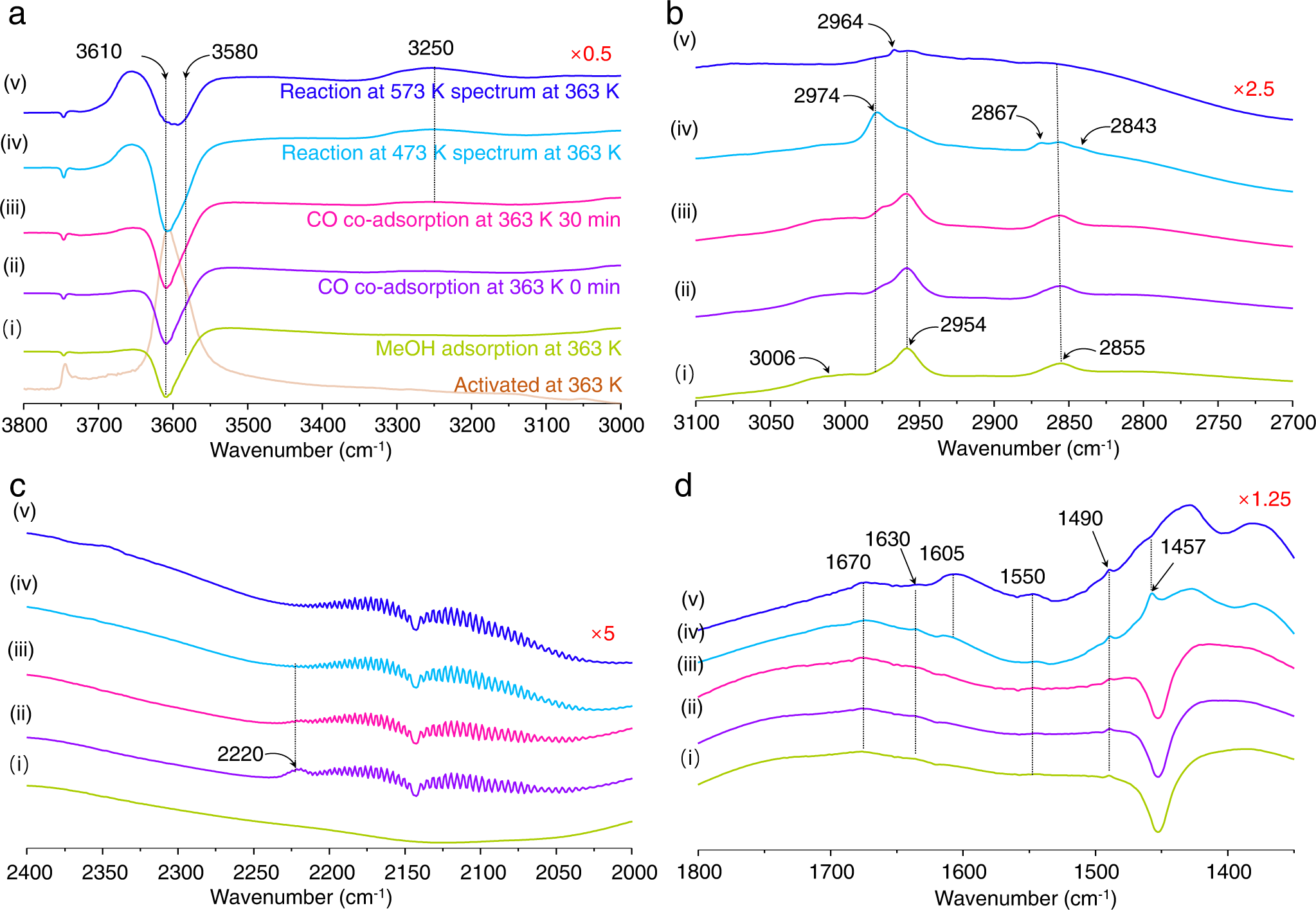 Fig. 7: FTIR spectra of carbonylation substrates adsorbed in mordenite.