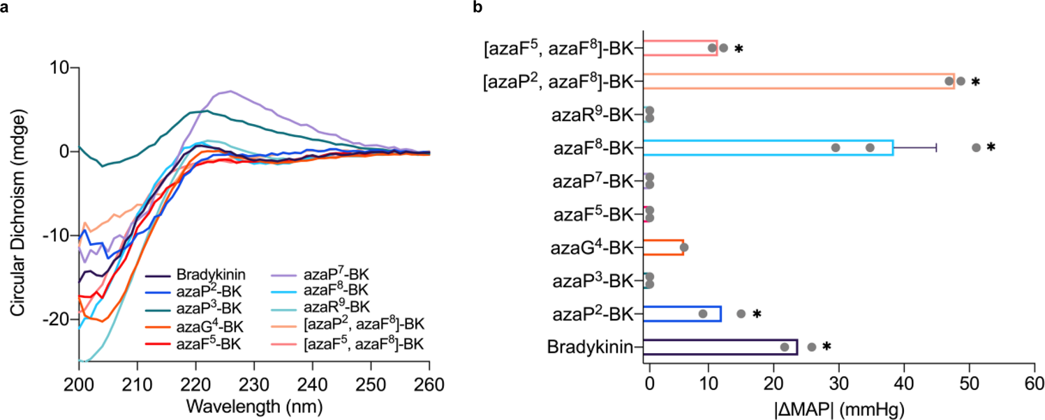 Fig. 4: Structural activities and hypotensive effects of bradykinin and BK-based azapeptide analogues.