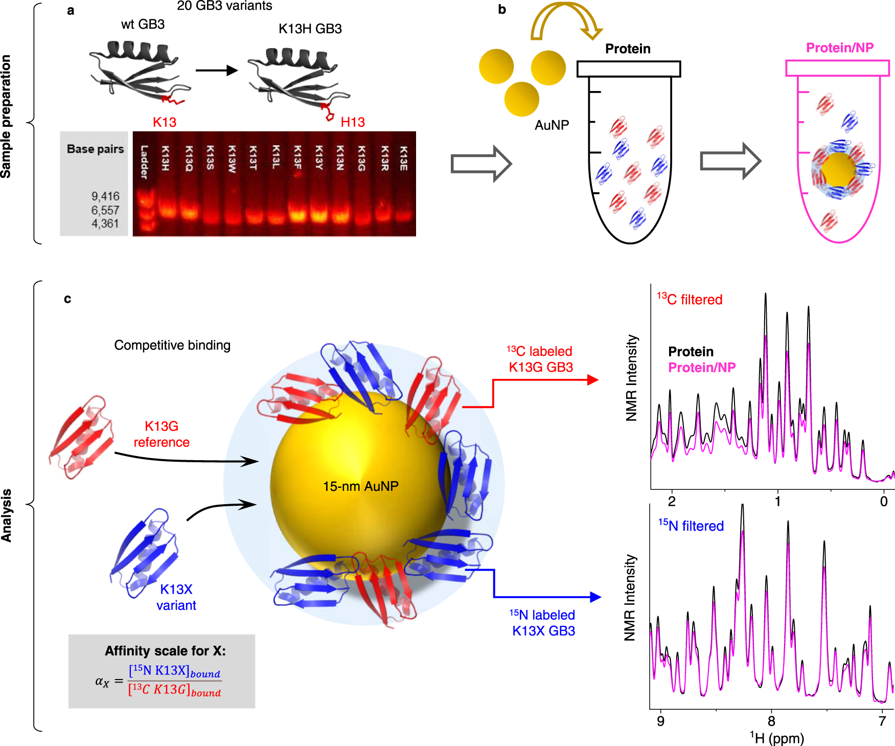 Absorbance of the HGHGH nanoparticle filtrate and residue after