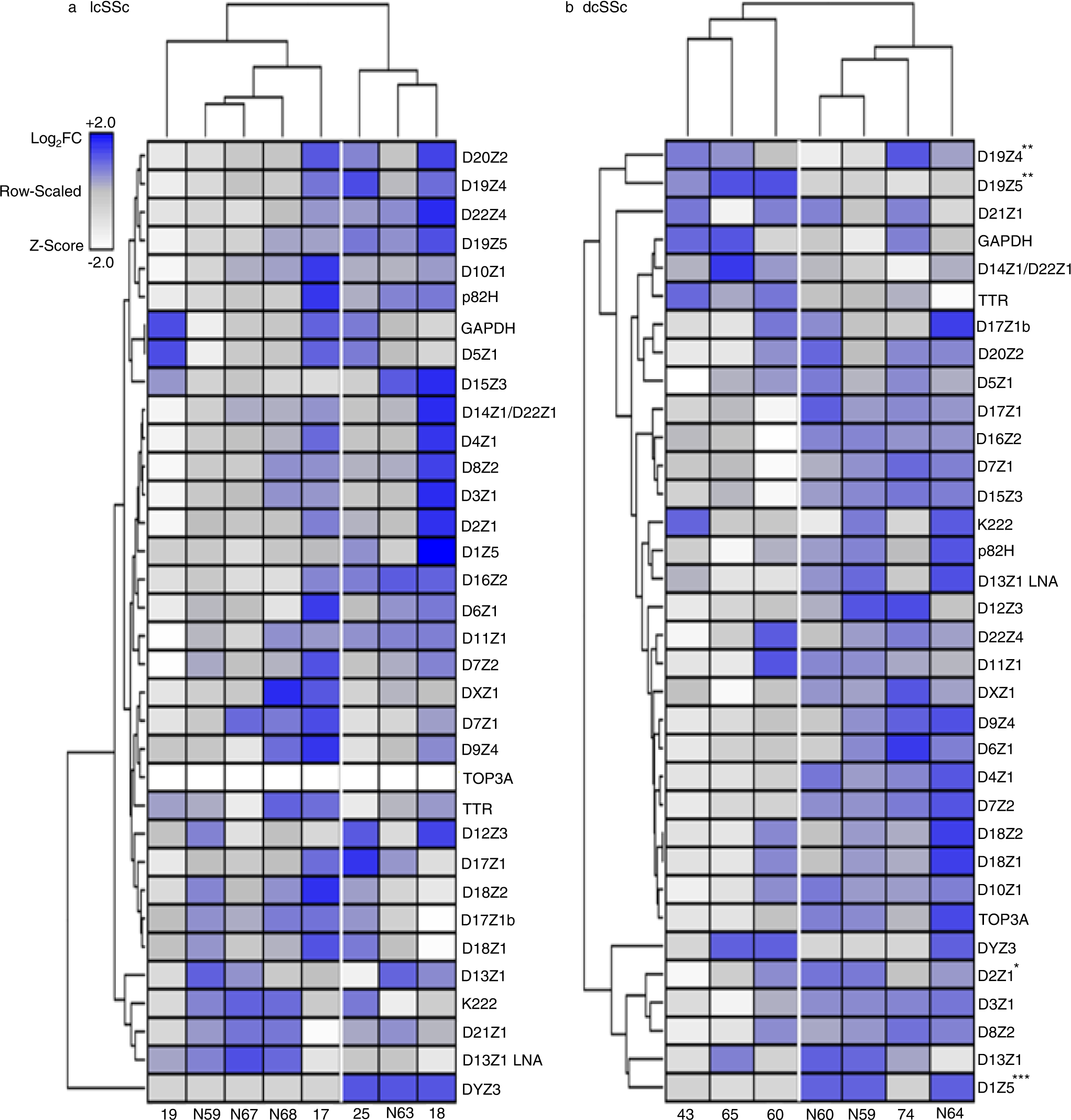 Centromere defects, chromosome instability, and cGAS-STING activation in  systemic sclerosis | Nature Communications