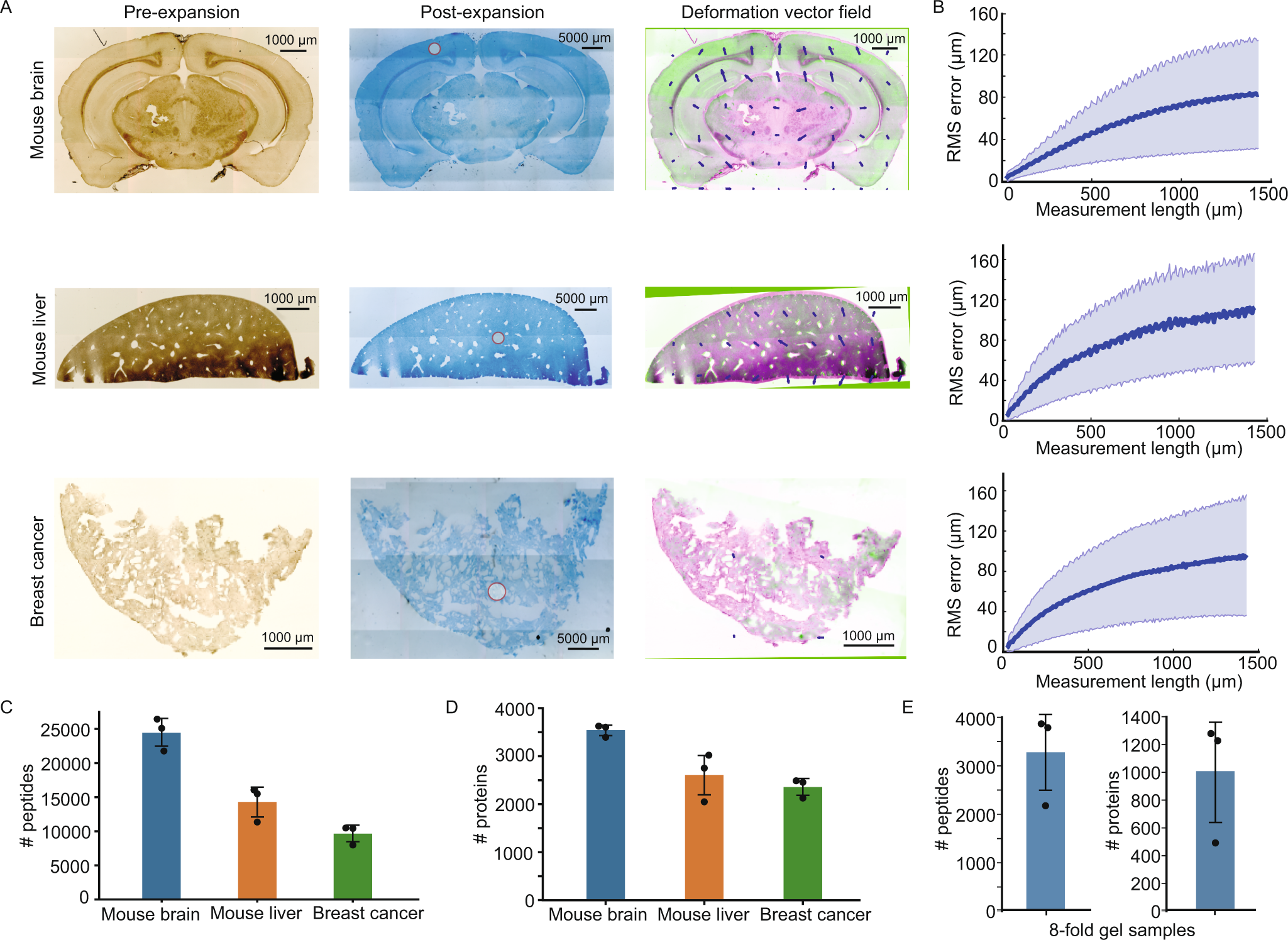 Fig. 3: Validation of ProteomEx in different tissue types.