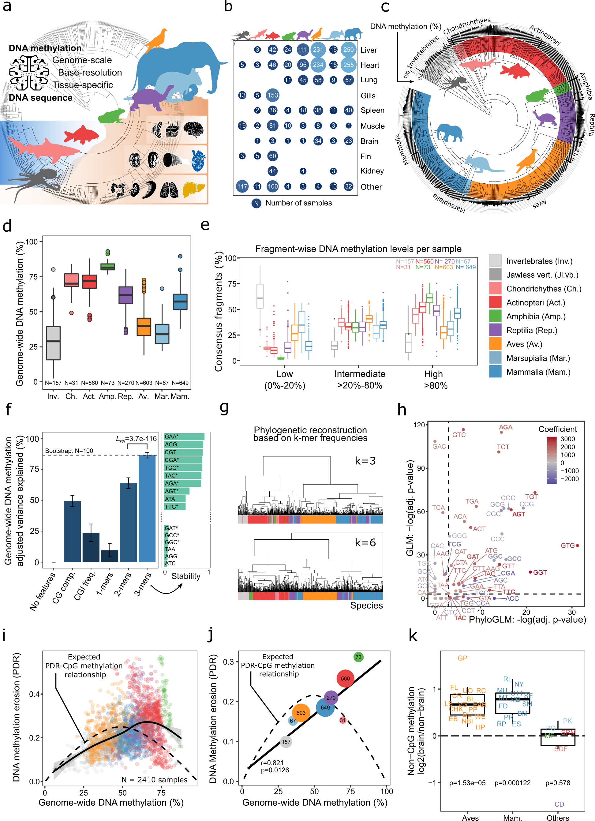 Comparative analysis of genome-scale, base-resolution DNA methylation  profiles across 580 animal species | Nature Communications