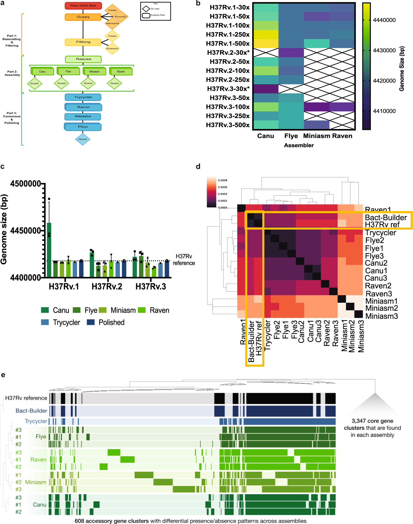Fig. 1: Developing Bact-Builder.