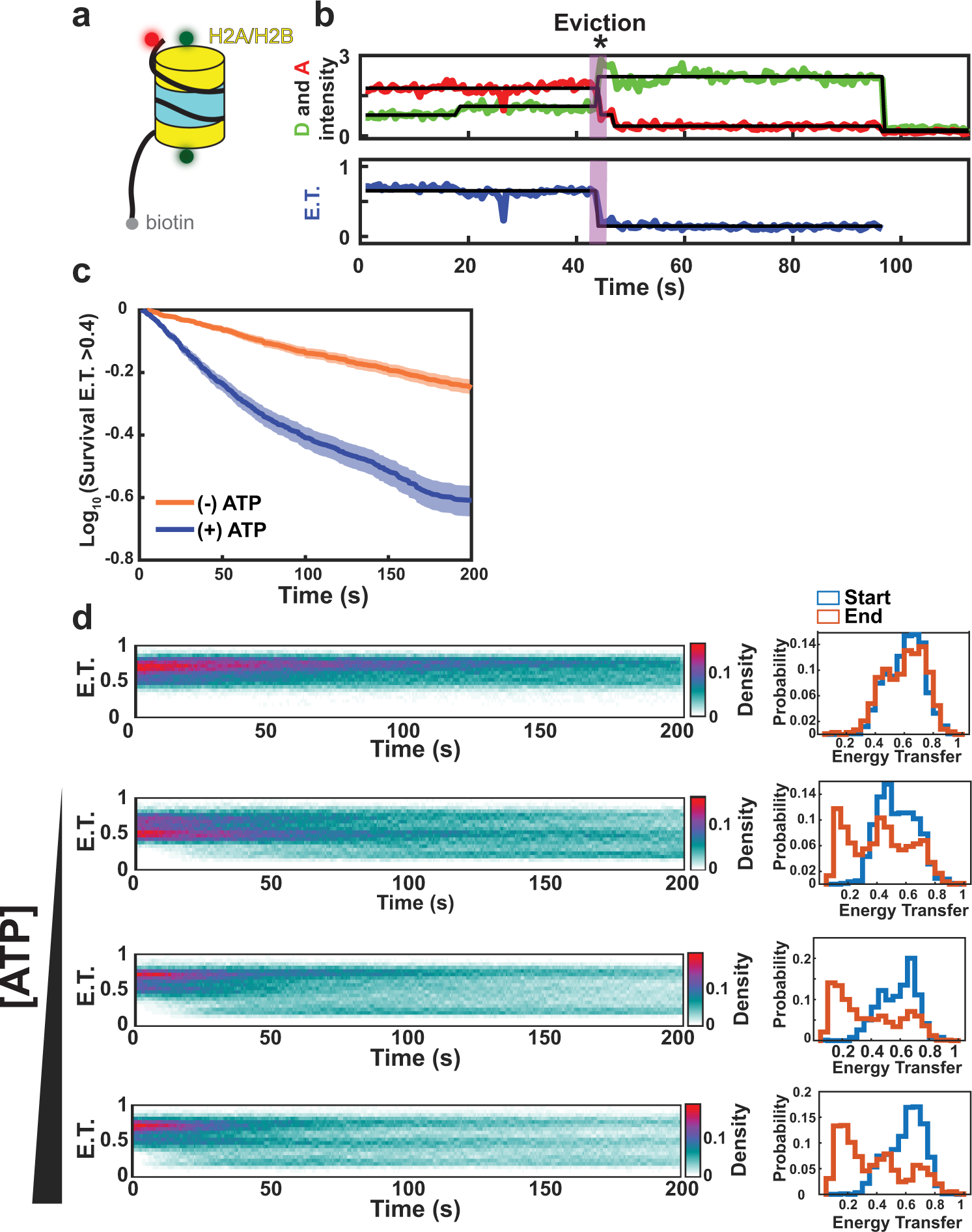 H2A.Z deposition by SWR1C involves multiple ATP-dependent steps | Nature  Communications