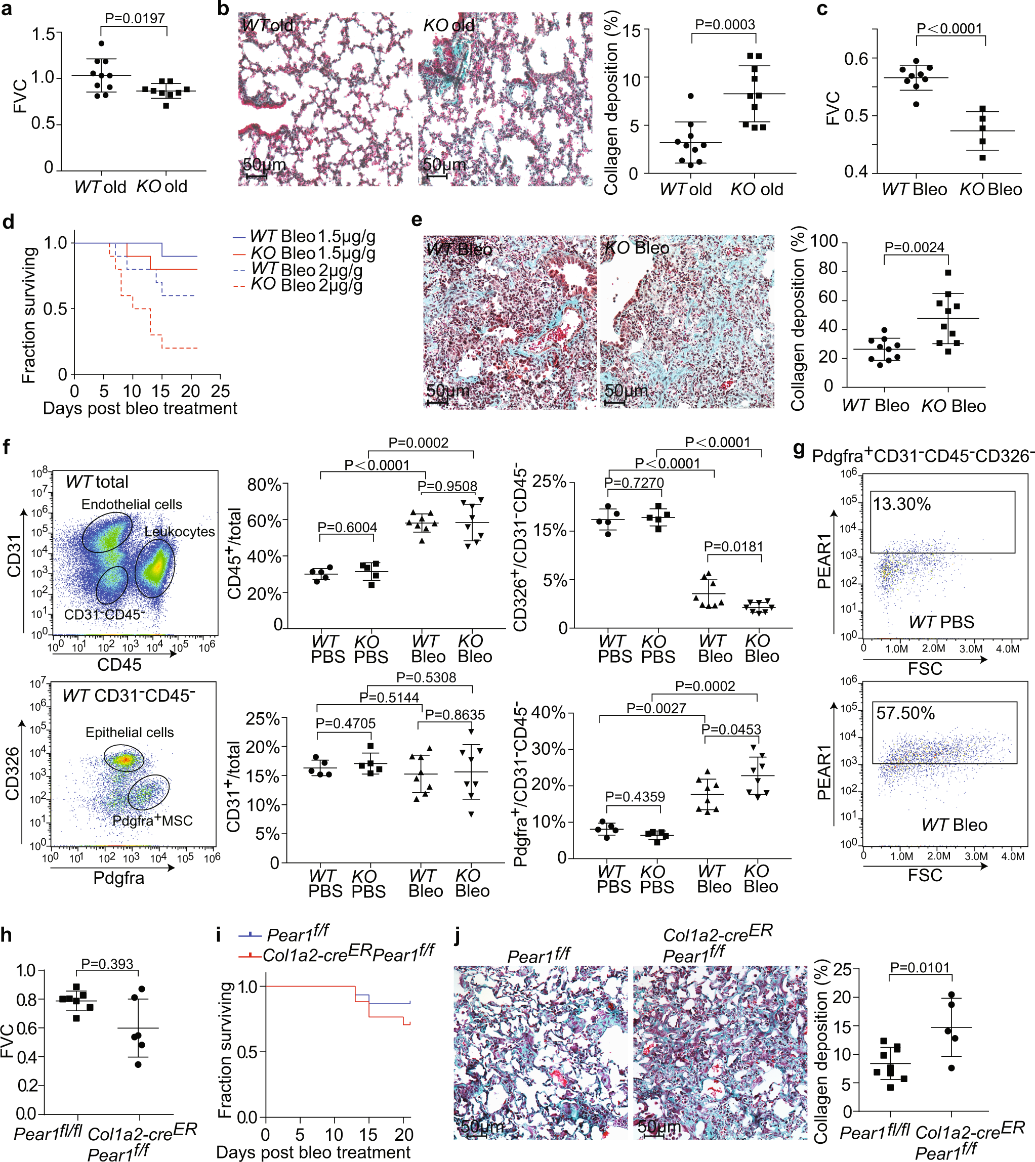 Lung extracellular matrix modulates KRT5+ basal cell activity in pulmonary  fibrosis