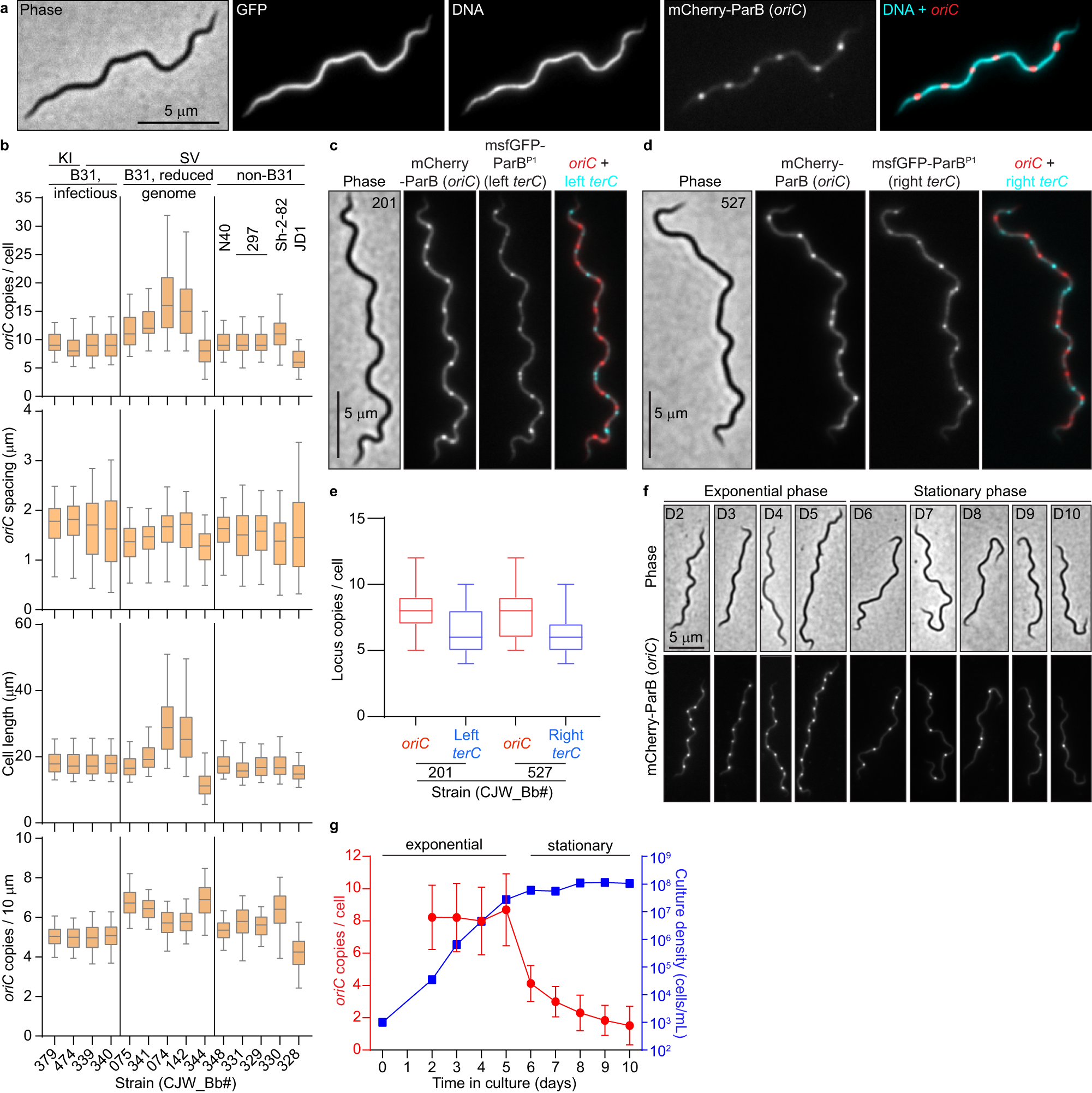 https://media.springernature.com/full/springer-static/image/art%3A10.1038%2Fs41467-022-34876-4/MediaObjects/41467_2022_34876_Fig1_HTML.png