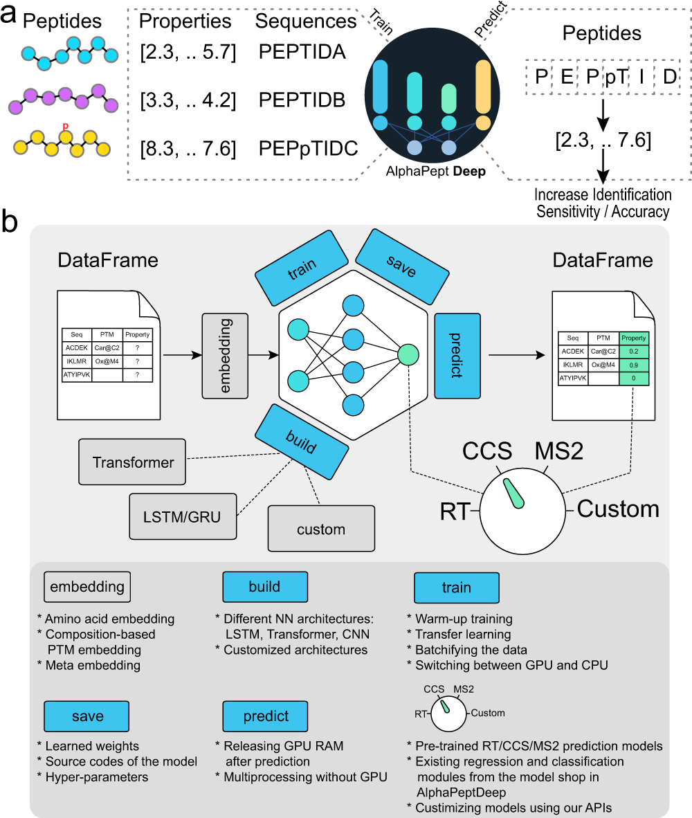 AlphaPeptDeep: a modular deep learning framework to predict peptide  properties for proteomics | Nature Communications