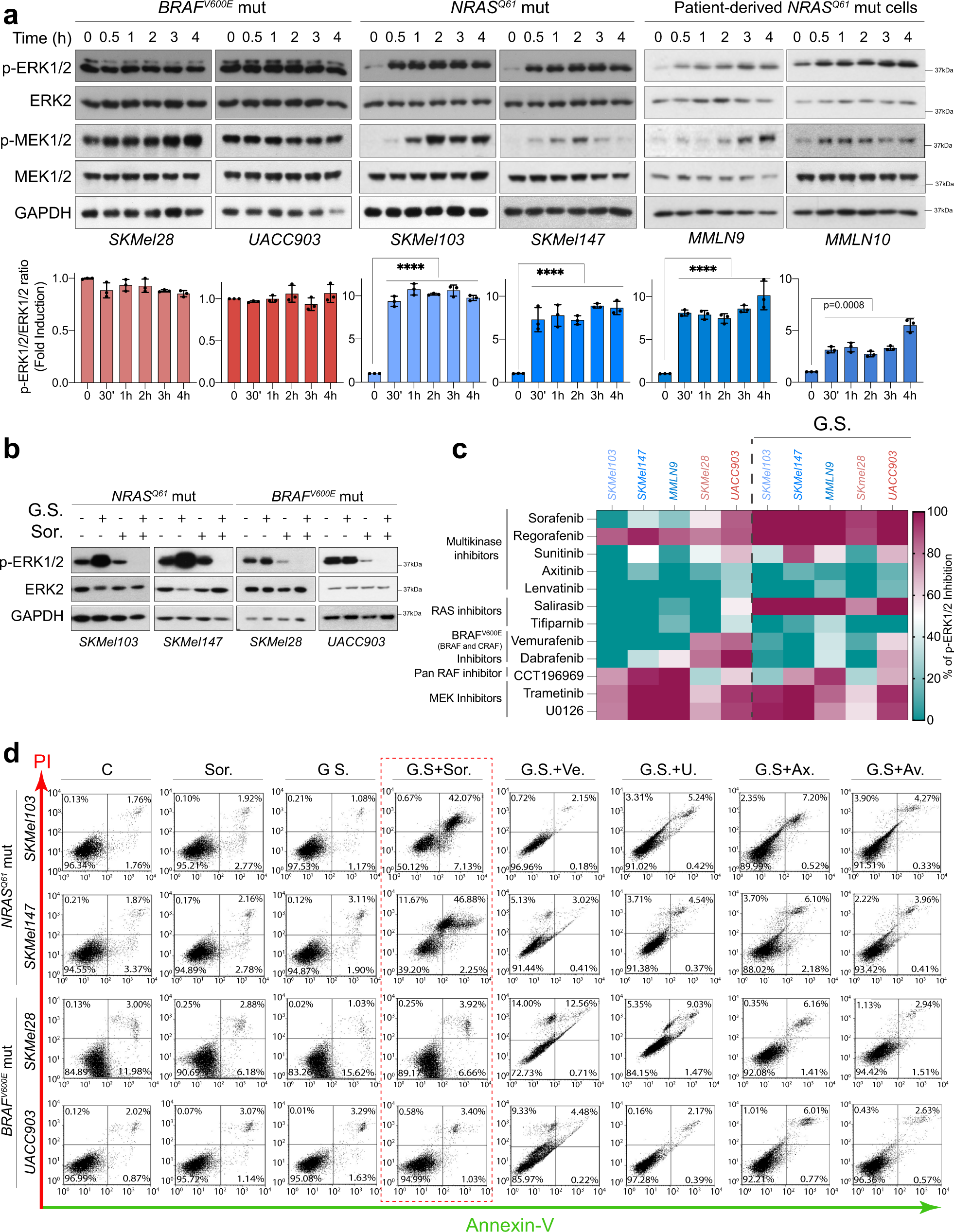 BRAF activation by metabolic stress promotes glycolysis sensitizing NRASQ61-mutated melanomas to targeted therapy | Nature Communications BRAF activation by metabolic stress promotes glycolysis sensitizing NRASQ61-mutated melanomas to targeted therapy | Nature Communications