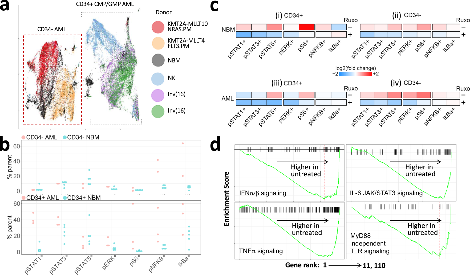 Fig. 4: Phospho-CyTOF and RNA-seq suggest distinct cell-of-origin but common receptor-mediated signaling in high-IL6/R pAML genomic subtypes. All plots show data from 5 high-IL6/R pAML samples. Panel A additionally includes 5 NBM as indicated.