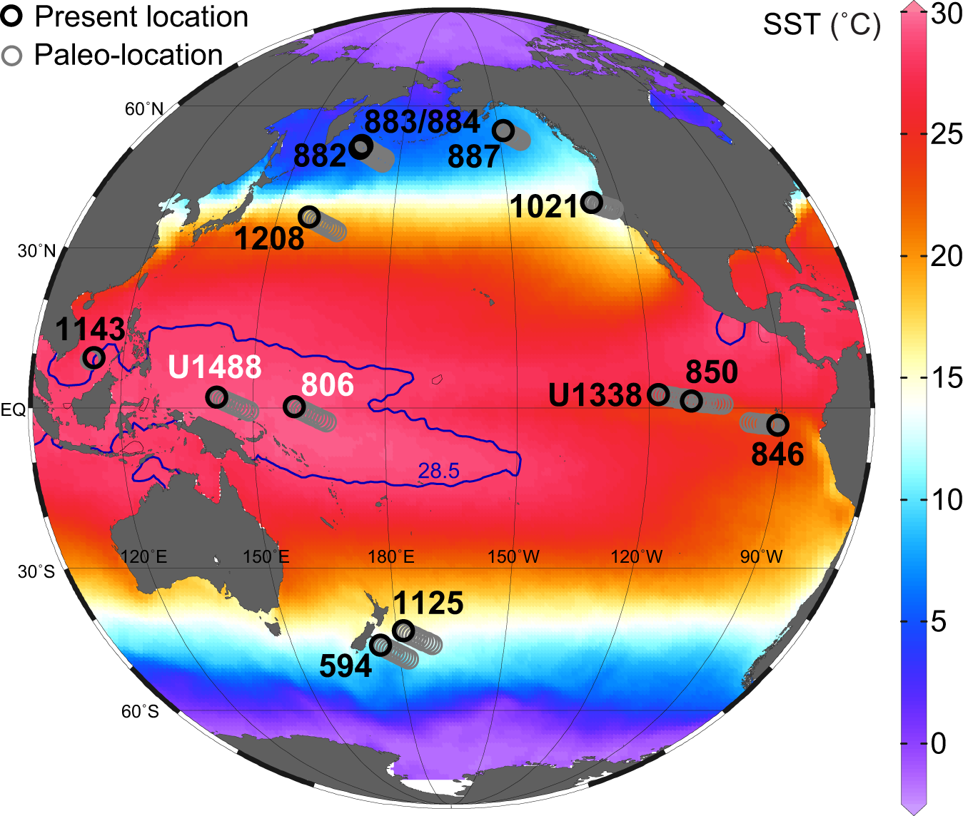 Persistent high latitude amplification of the Pacific Ocean over the past  10 million years