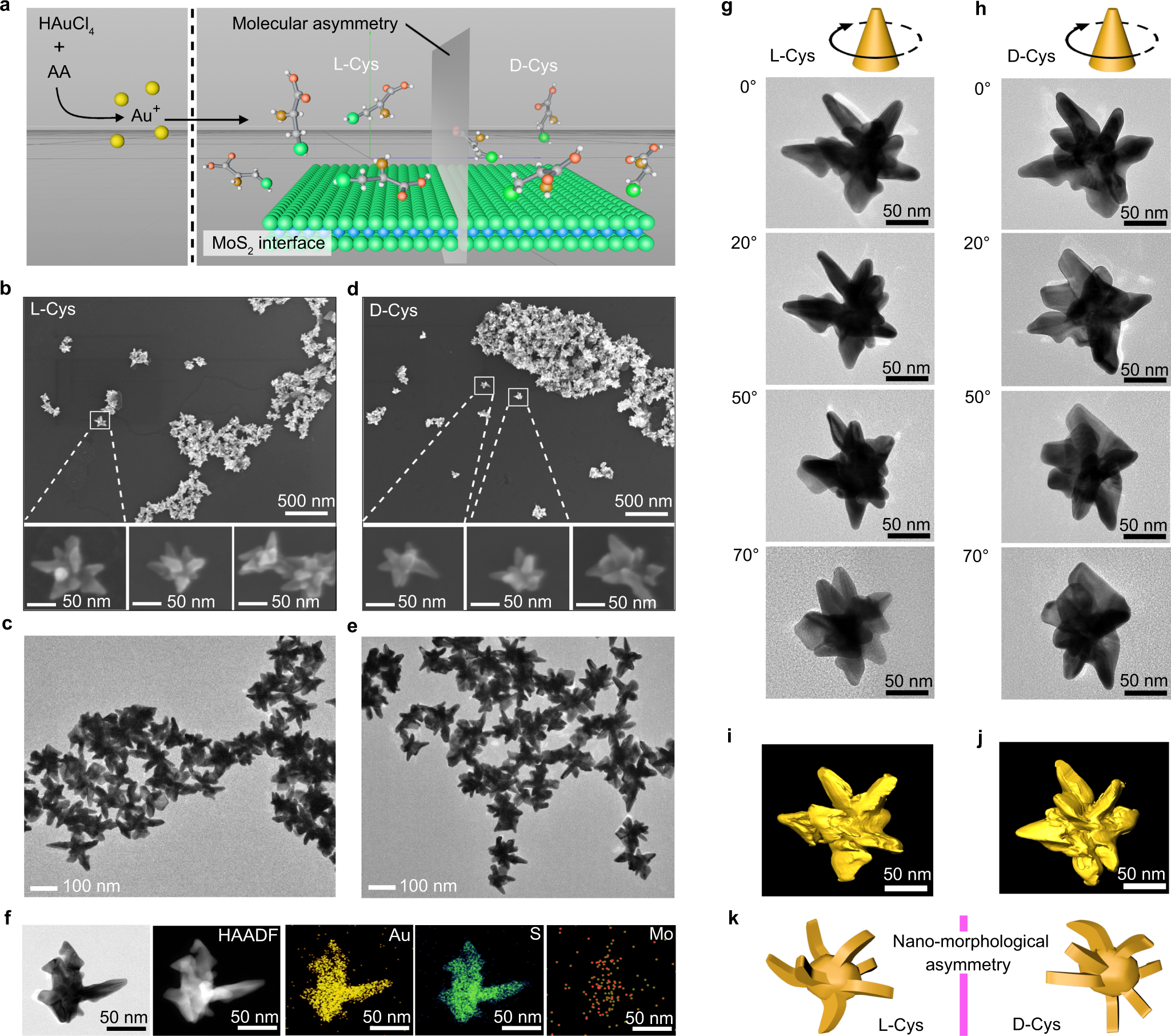 Fig. 2: Transfer of chirality from amino acids to gold nanocrystals.