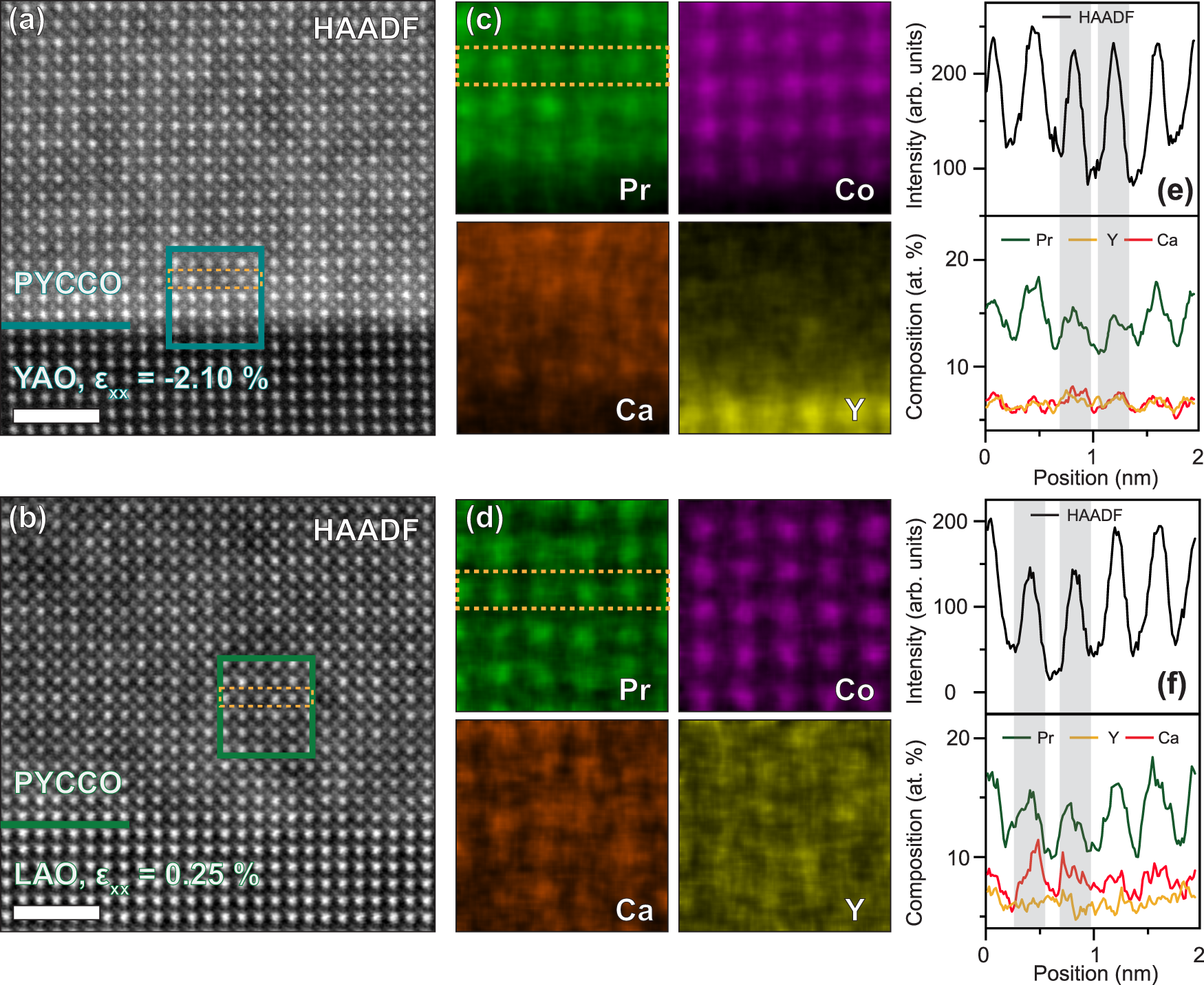 Fig. 2: Scanning transmission electron microscopy/energy-dispersive X-ray spectroscopy (STEM/EDX) characterization of (Pr0.85Y0.15)0.7Ca0.3CoO3-δ films.