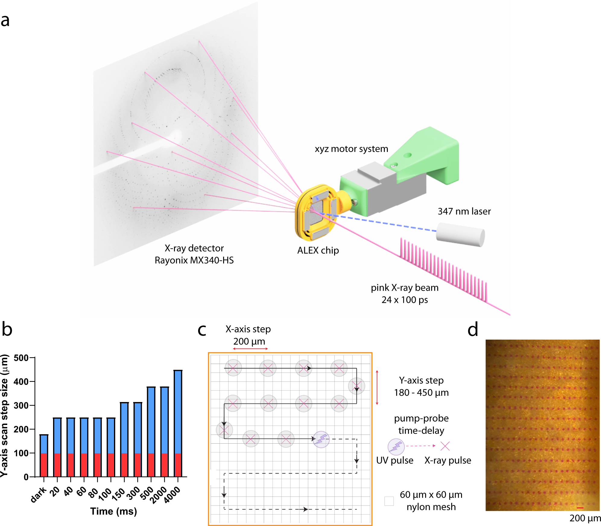 Fig. 1: Experimental set-up for TR-SSX at 14-ID-B BioCARS beamline.
