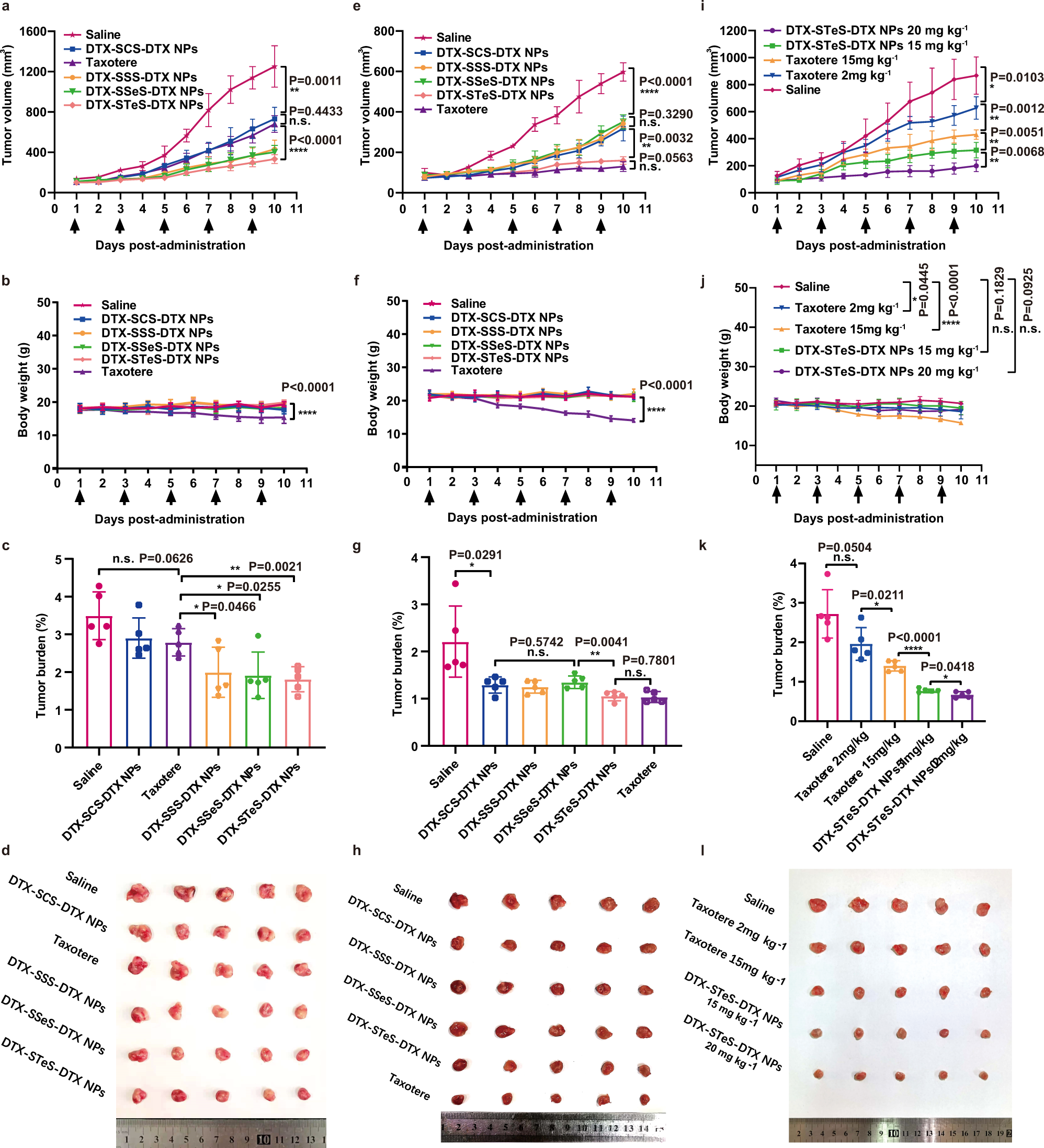 Fig. 7: Antitumor efficacy of HPNAs.