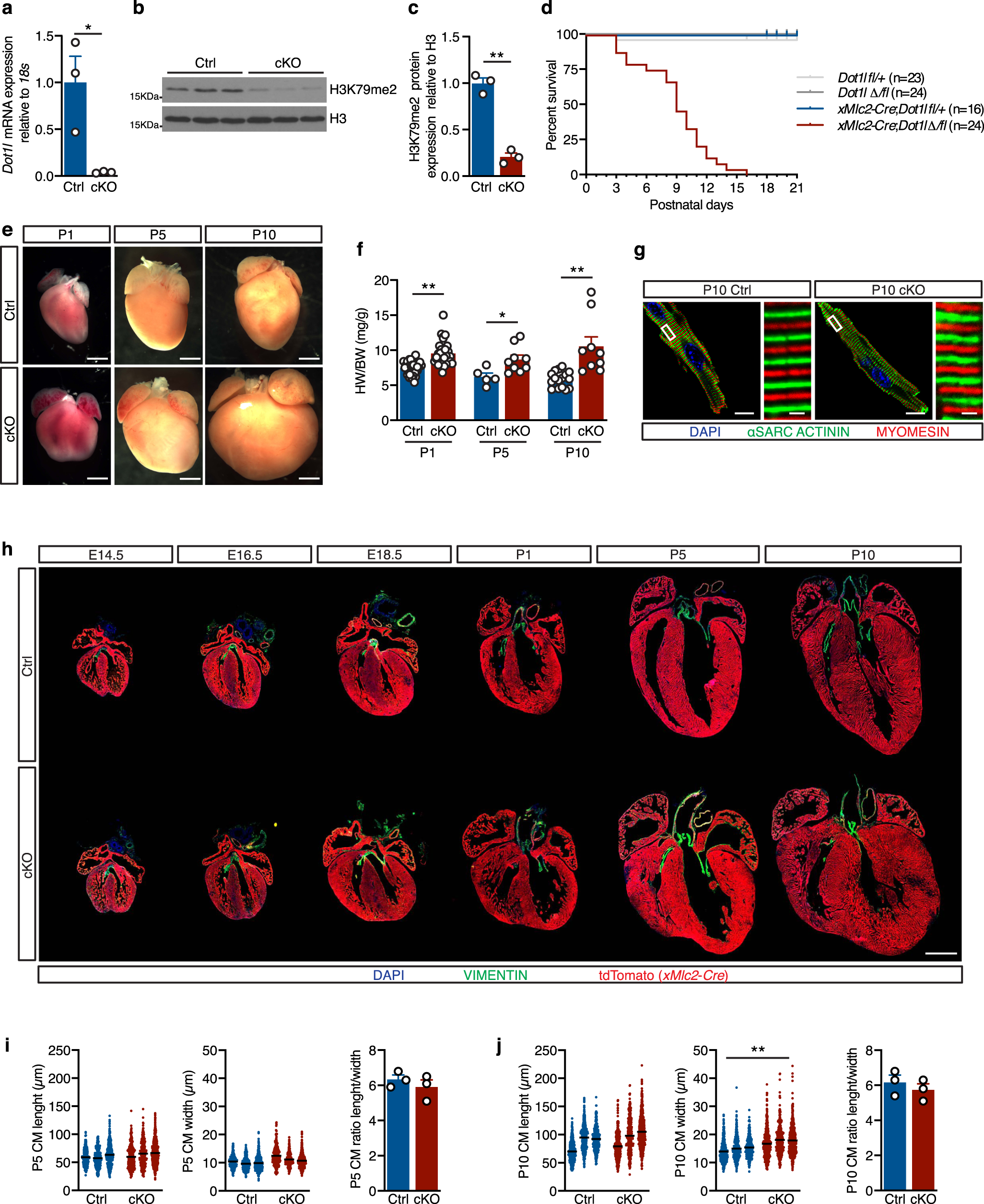 https://media.springernature.com/full/springer-static/image/art%3A10.1038%2Fs41467-022-35070-2/MediaObjects/41467_2022_35070_Fig1_HTML.png