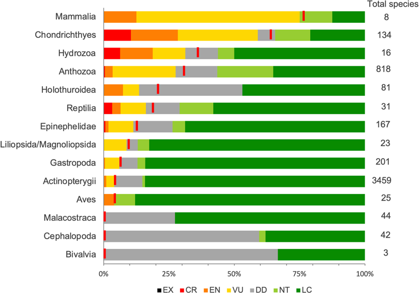 Current threats to coastal seagrass ecosystems – Shark Research &  Conservation Program (SRC)