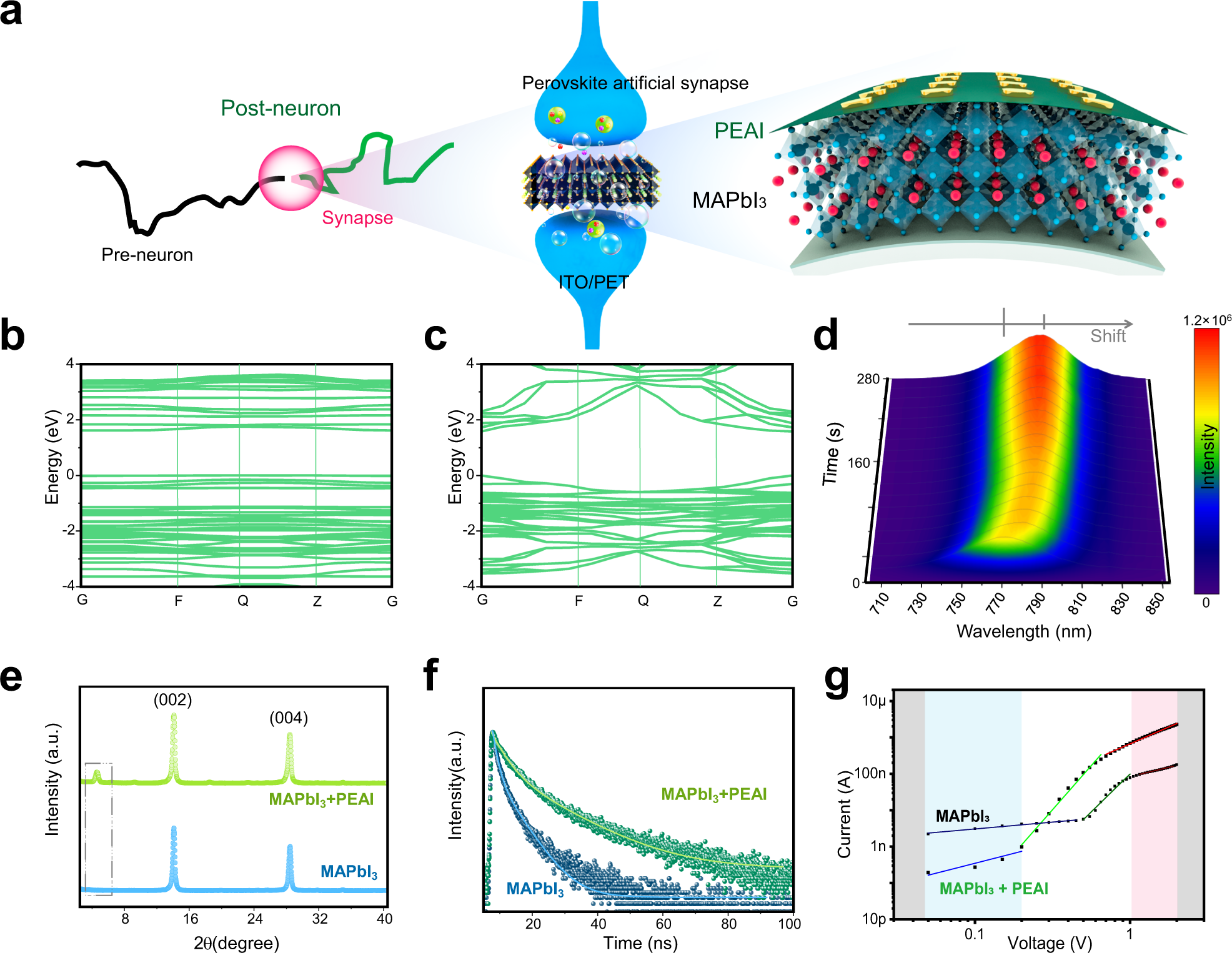 Graphene Dynamic Synapse with Modulatable Plasticity