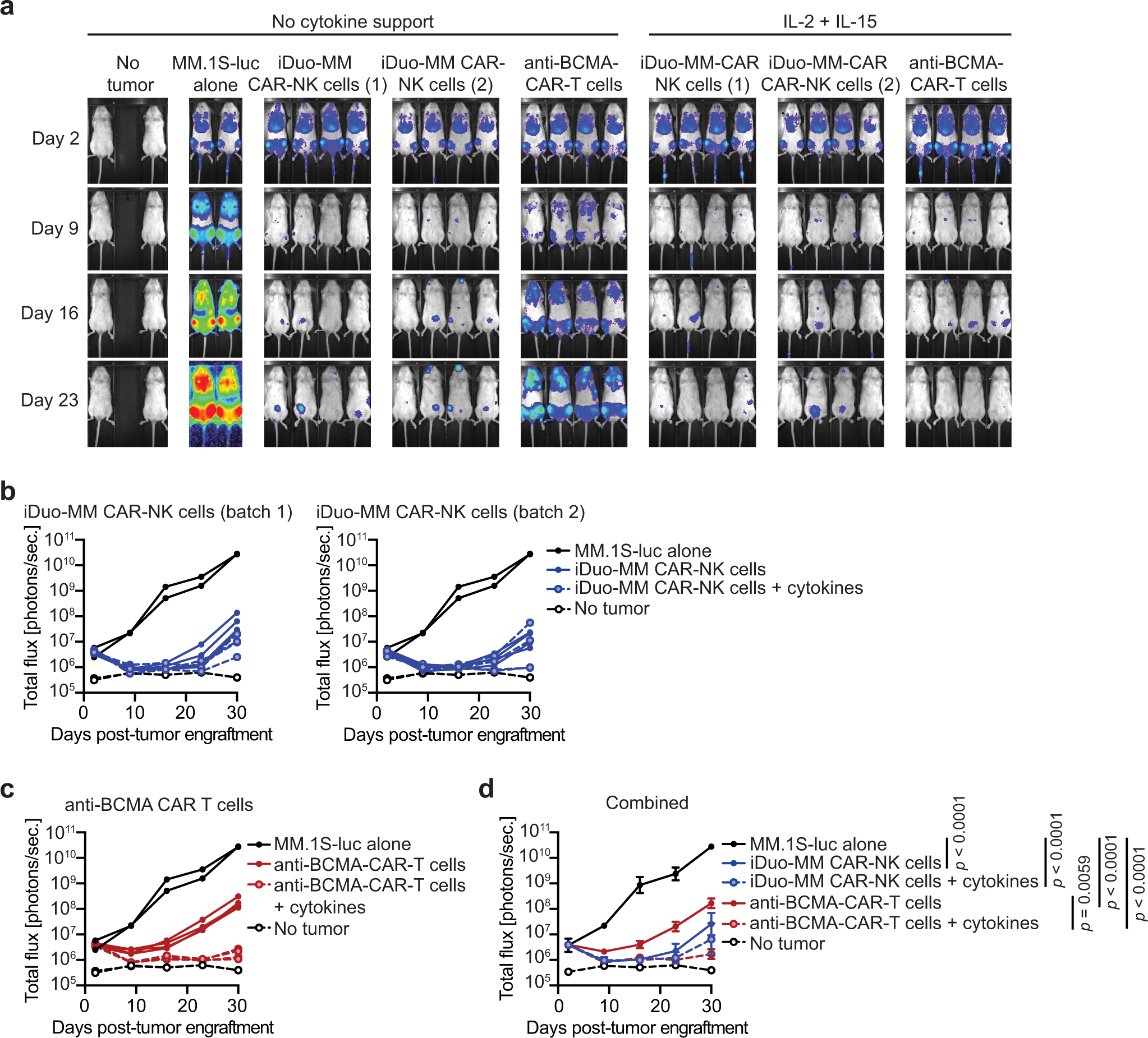 Fig. 6: iDuo-MM CAR-NK cells maintain in vivo antitumor function in the absence of exogenous cytokine support.