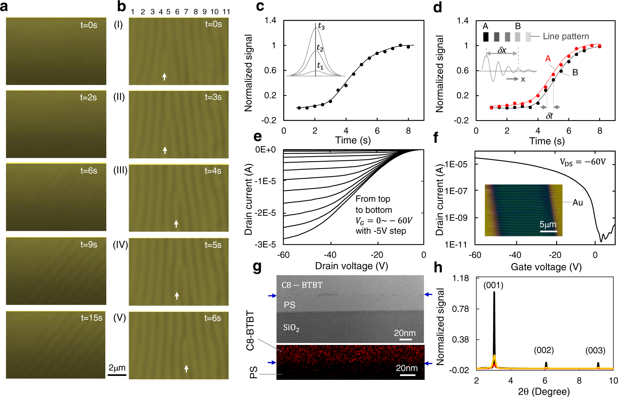 Fig. 4: In-situ observations of the pattern formation processes and film/device characterizations.