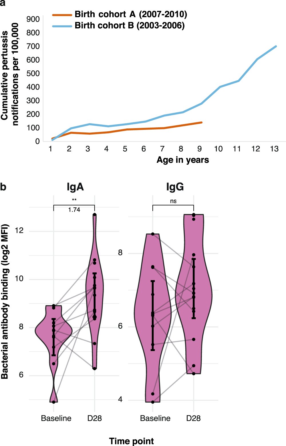 Fig. 3: Cumulative B. pertussis disease incidence in different aP-primed birth cohorts over time and impact of asymptomatic infection on mucosal antibody responses.