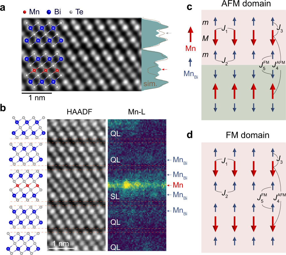 Fig. 2: STEM characterizations and an intuitive model of inter-SL FM and AFM orders in MnBi4Te7 and MnBi6Te10.