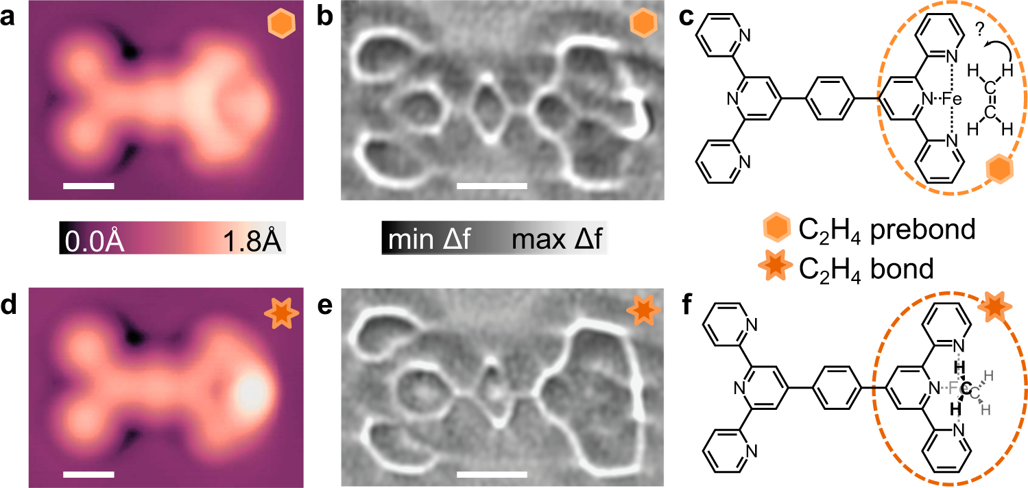 Fig. 4: STM and ncAFM of C2H4 associated Fe-tpy structures.