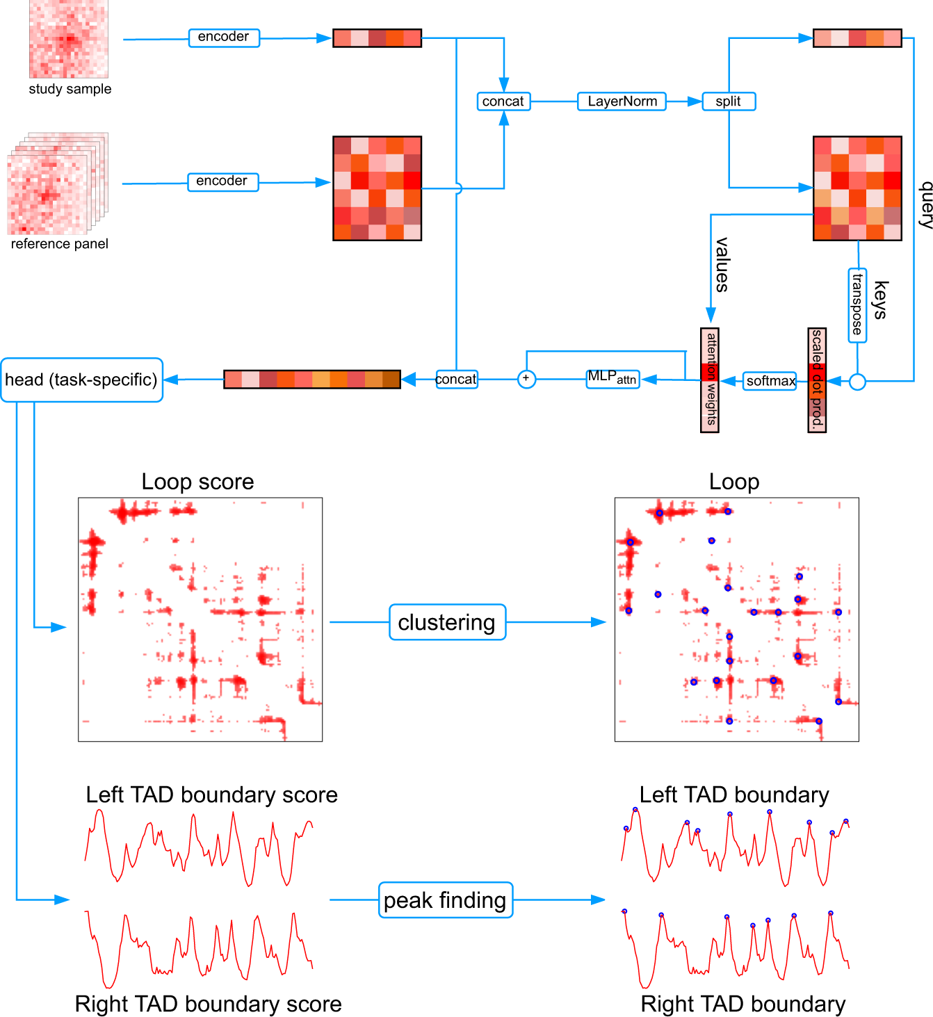 Reference panel guided topological structure annotation of Hi-C data |  Nature Communications