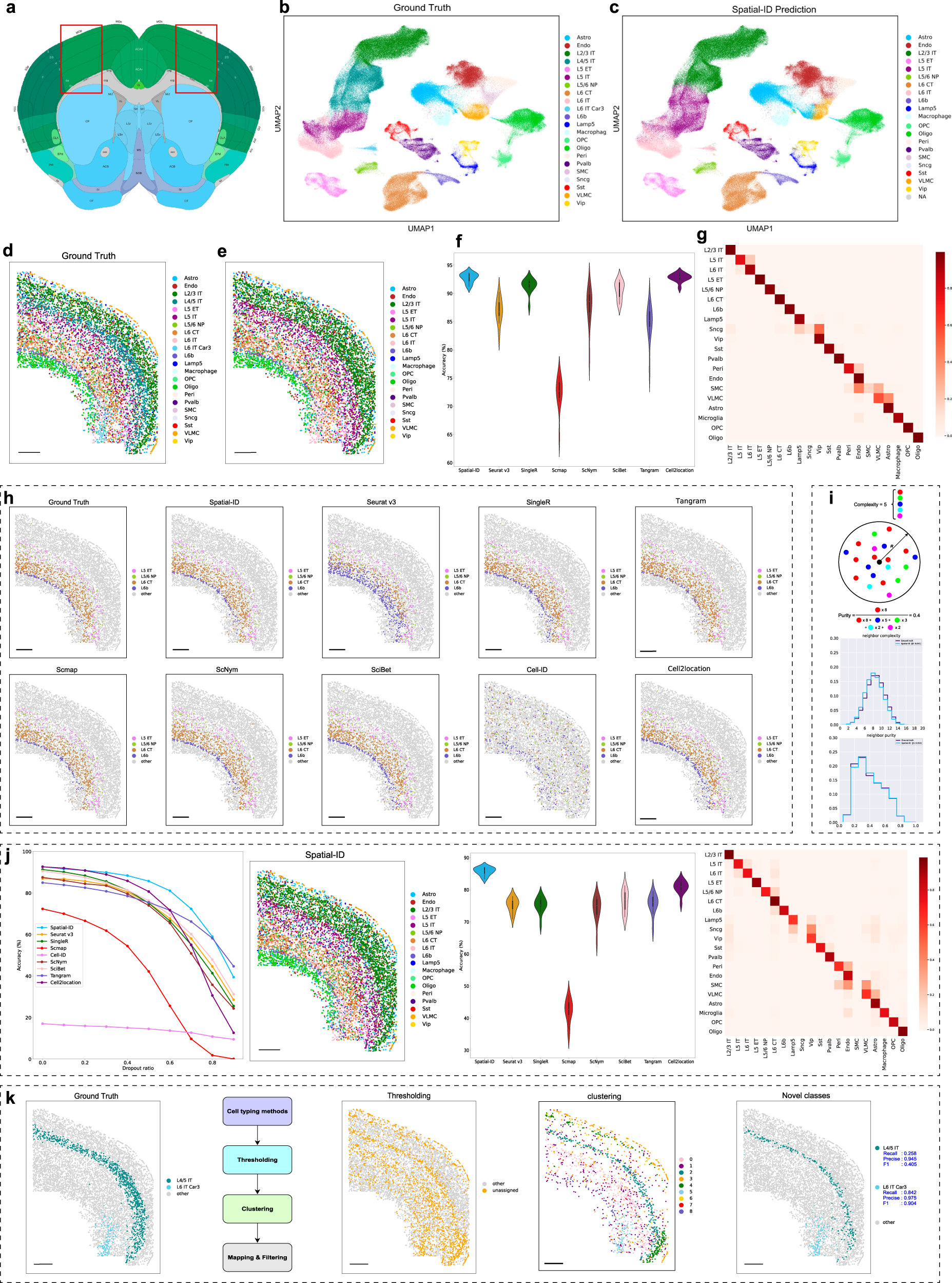 Fig. 2: Application to mouse primary motor cortex dataset measured by MERFISH.