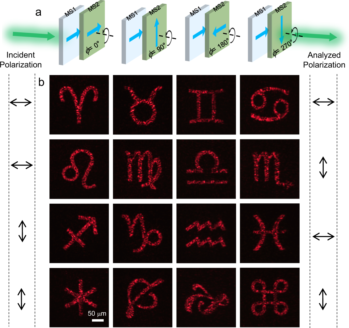 Fig. 4: Bilayer metasurface for polarization-rotation multiplexed multifunctional holography.