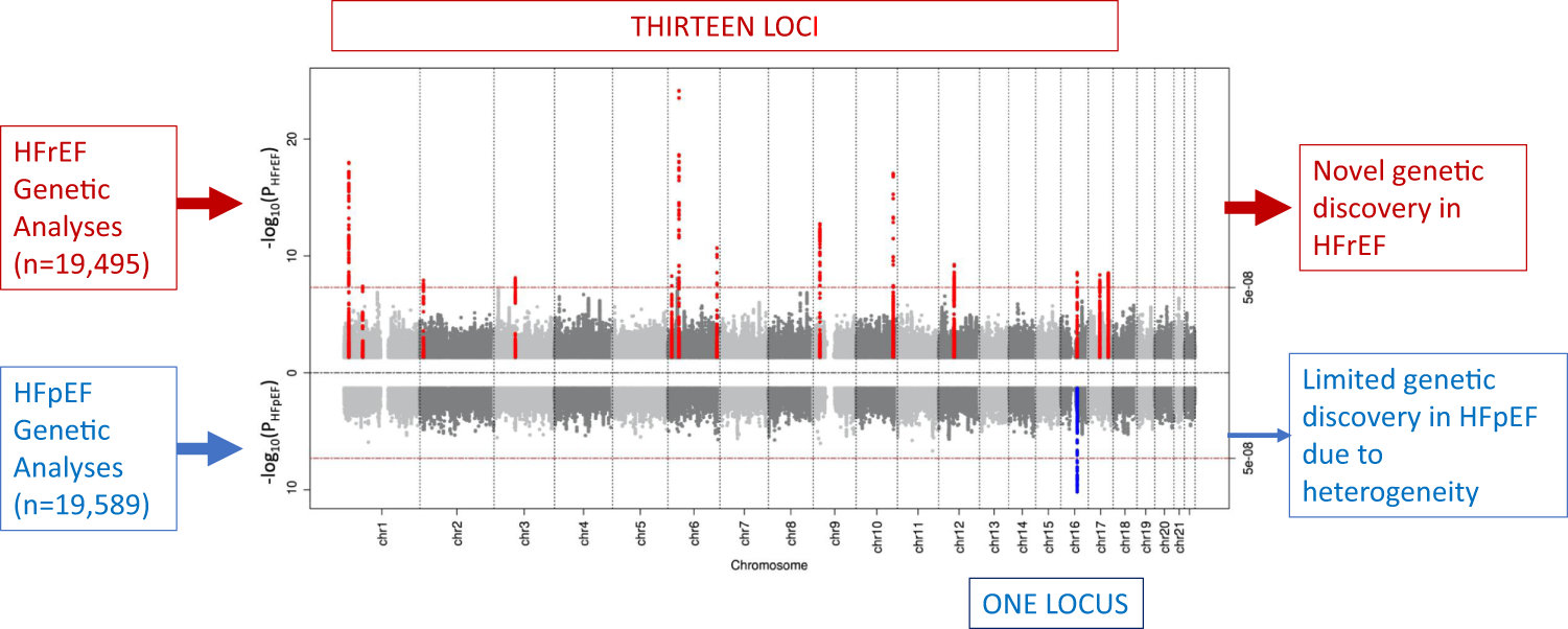 Fig. 6: Limited genetic discovery in HFpEF due to pathophysiological heterogeneity.