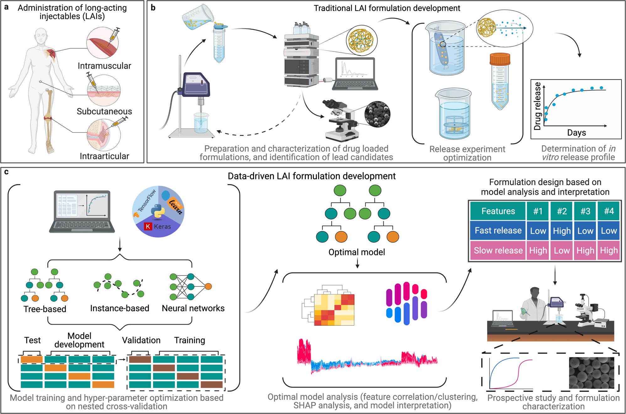 Machine learning models to accelerate the design of polymeric long-acting  injectables | Nature Communications