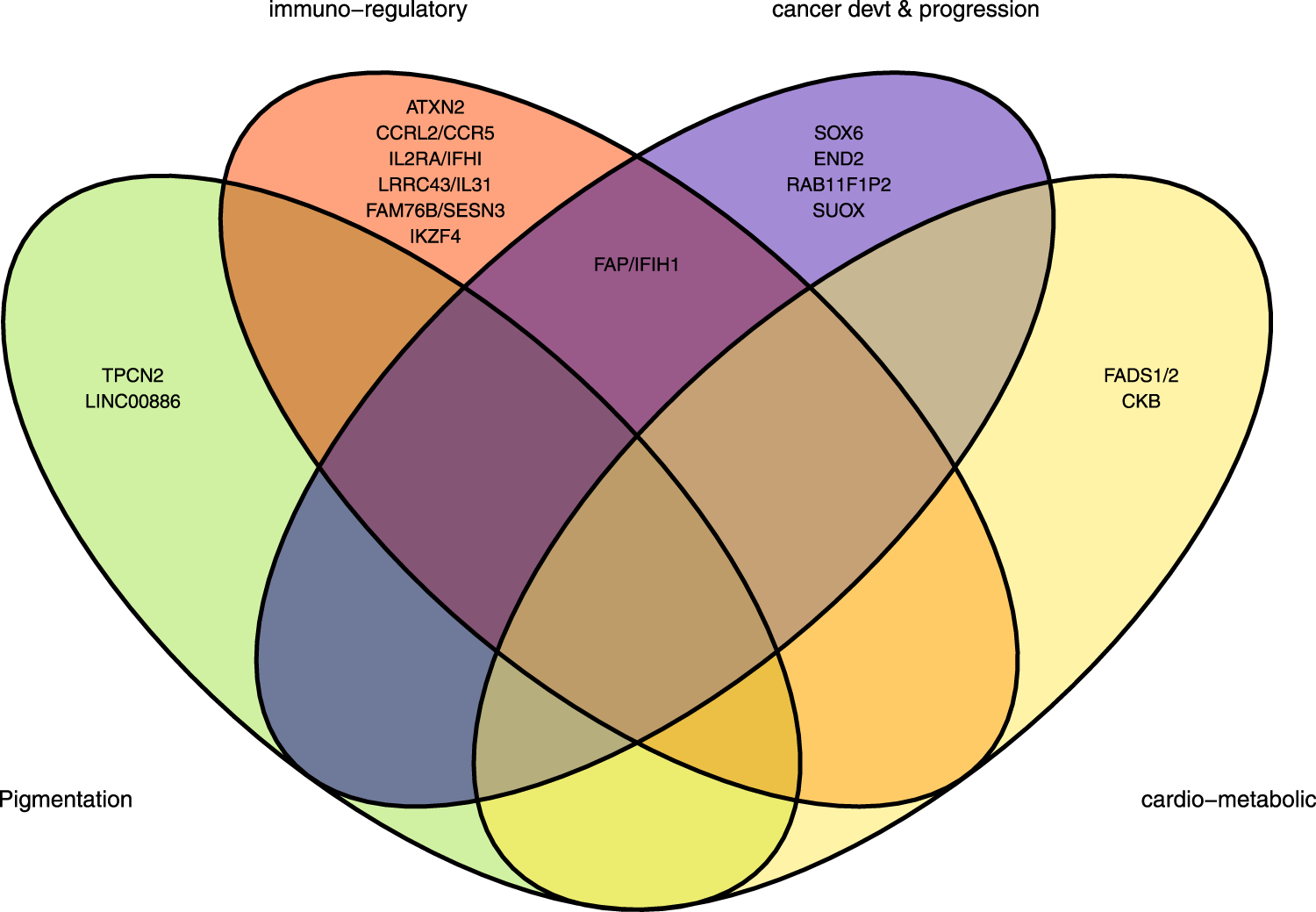 Fig. 5: Basal cell carcinoma loci and biological pathways.