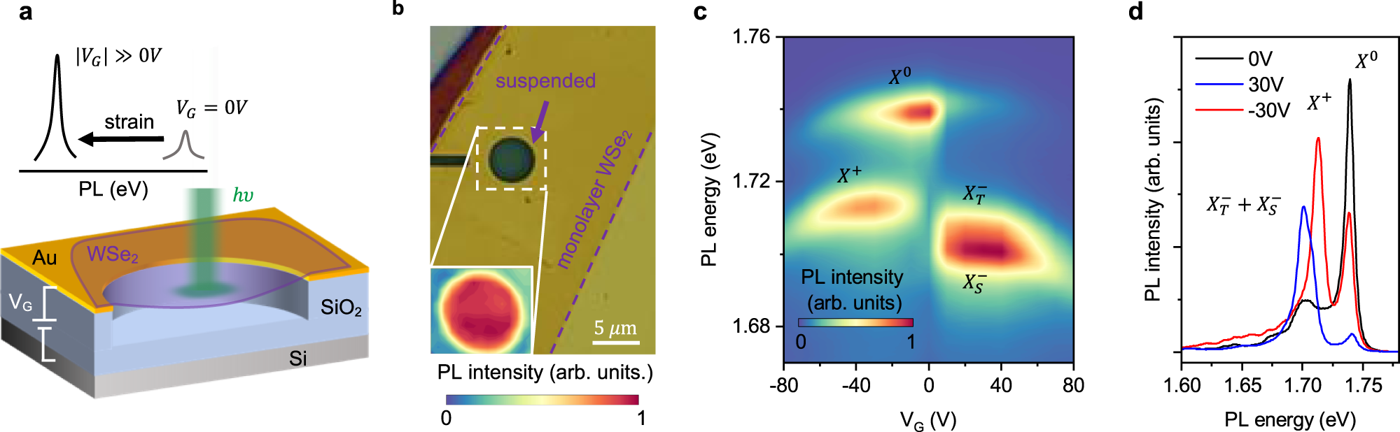 Fig. 2: Straining suspended WSe2 monolayers by electrostatic forces.