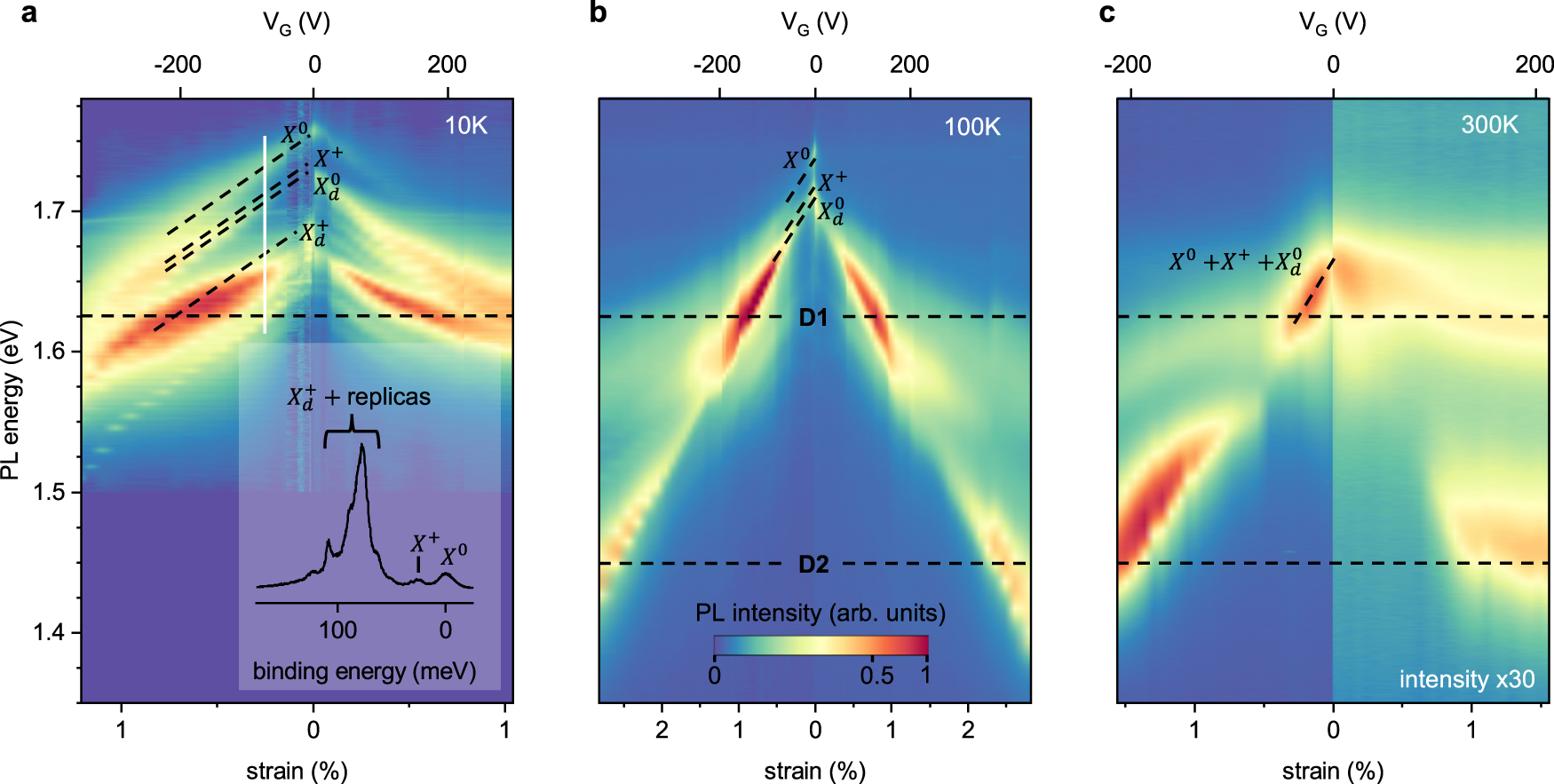 Fig. 5: Temperature-dependent strain response.