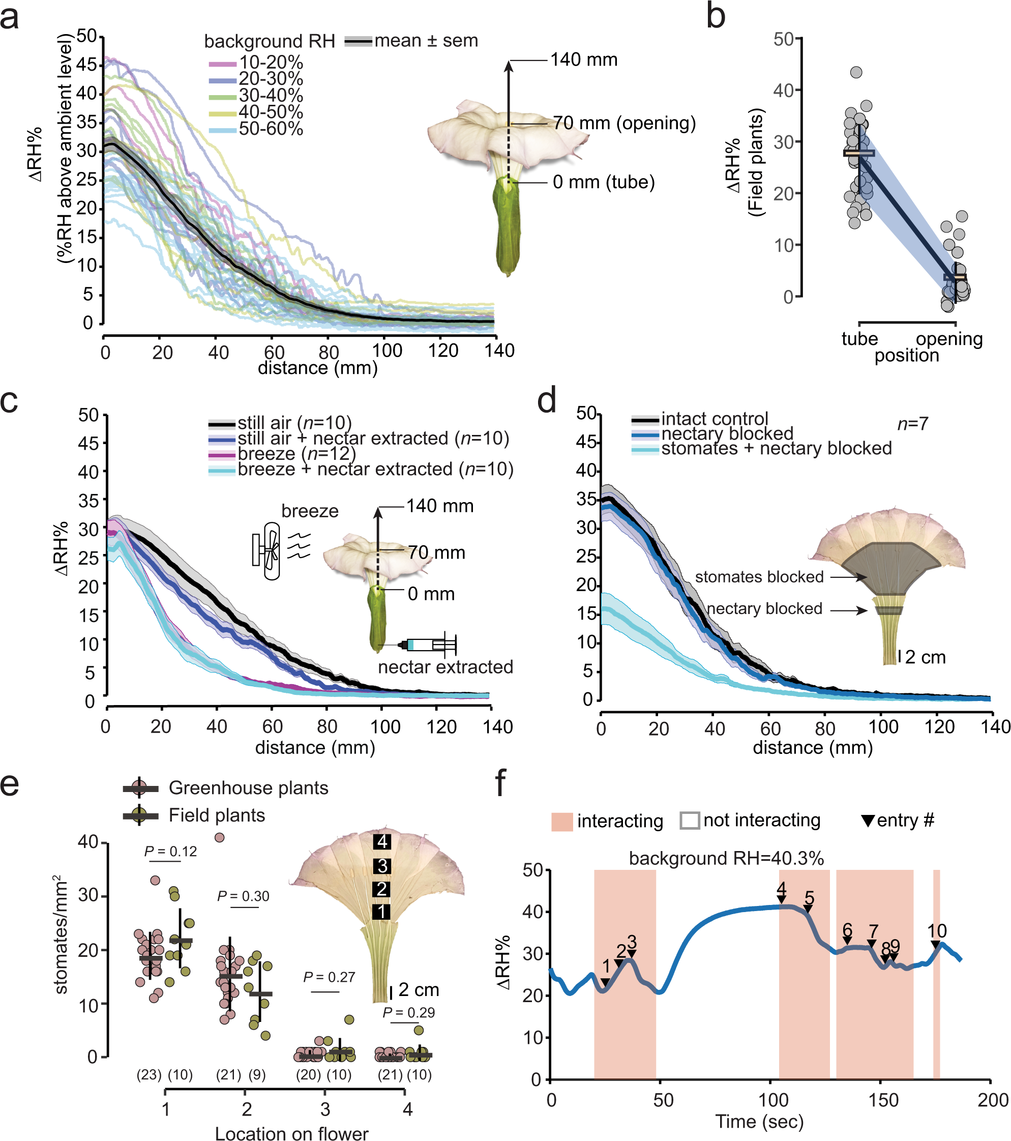 A signal-like role for floral humidity in a nocturnal pollination system