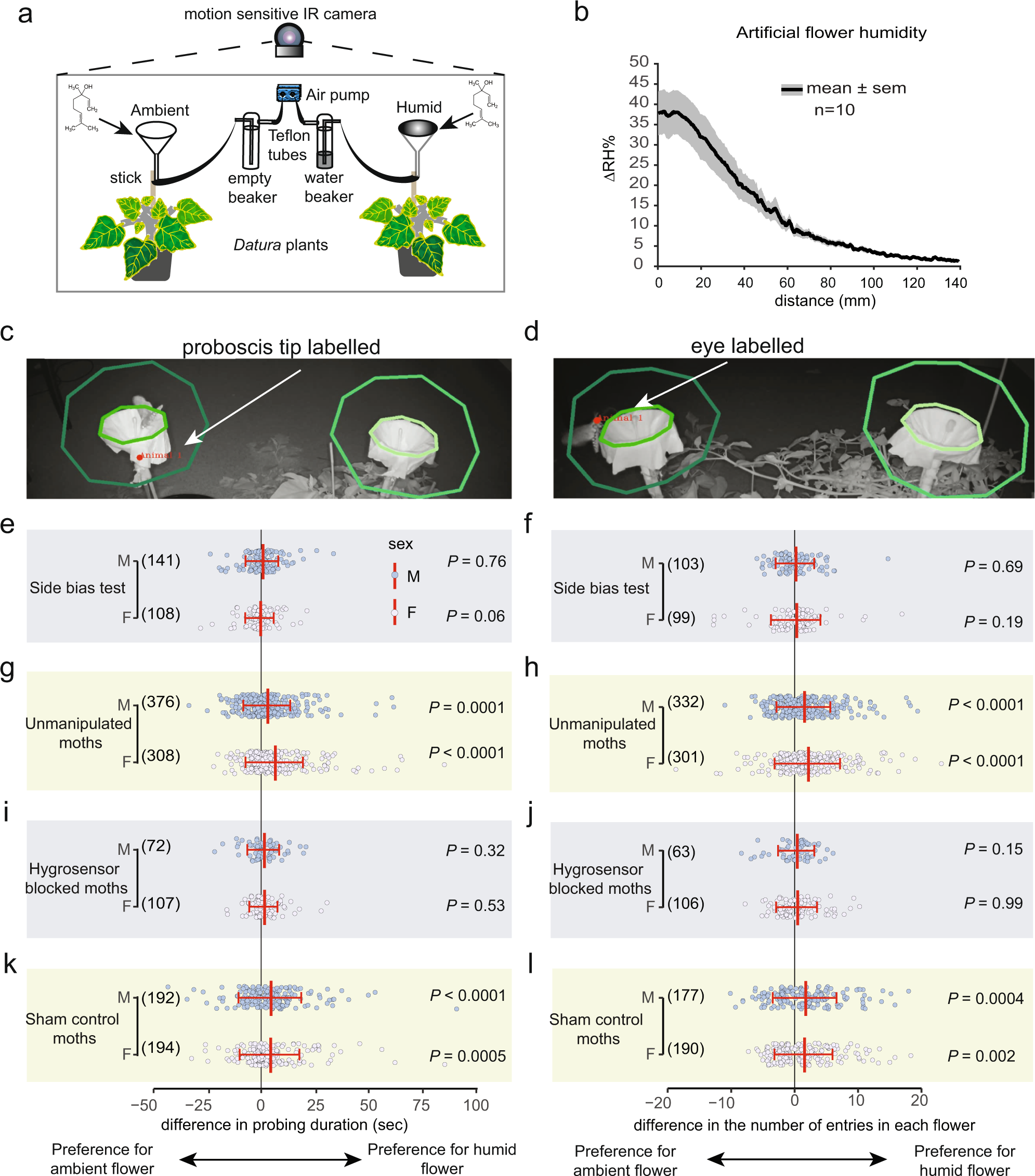 Fig. 4: Moths are innately attracted to humid flowers in a binary-choice behavior assay.