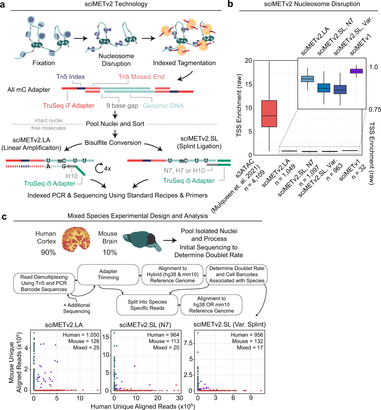 Tunable Single-Cell Extraction for Molecular Analyses: Cell