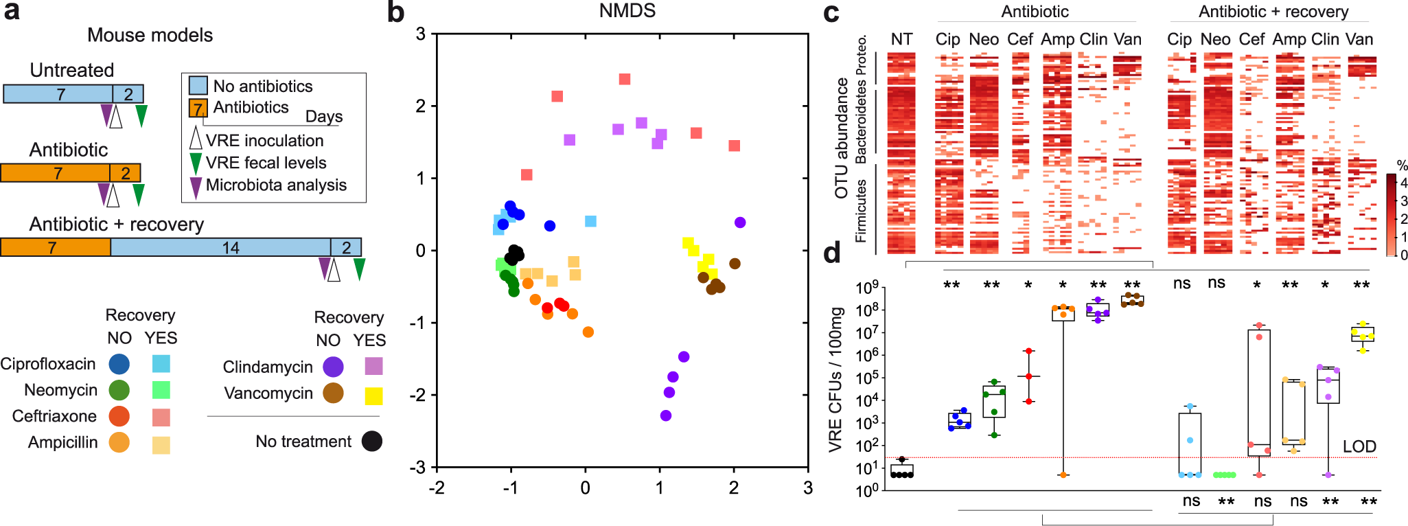 Fig. 1: Different antibiotics induce distinct dysbiotic states and grades of susceptibility to vancomycin-resistant Enterococcus (VRE) intestinal colonization.