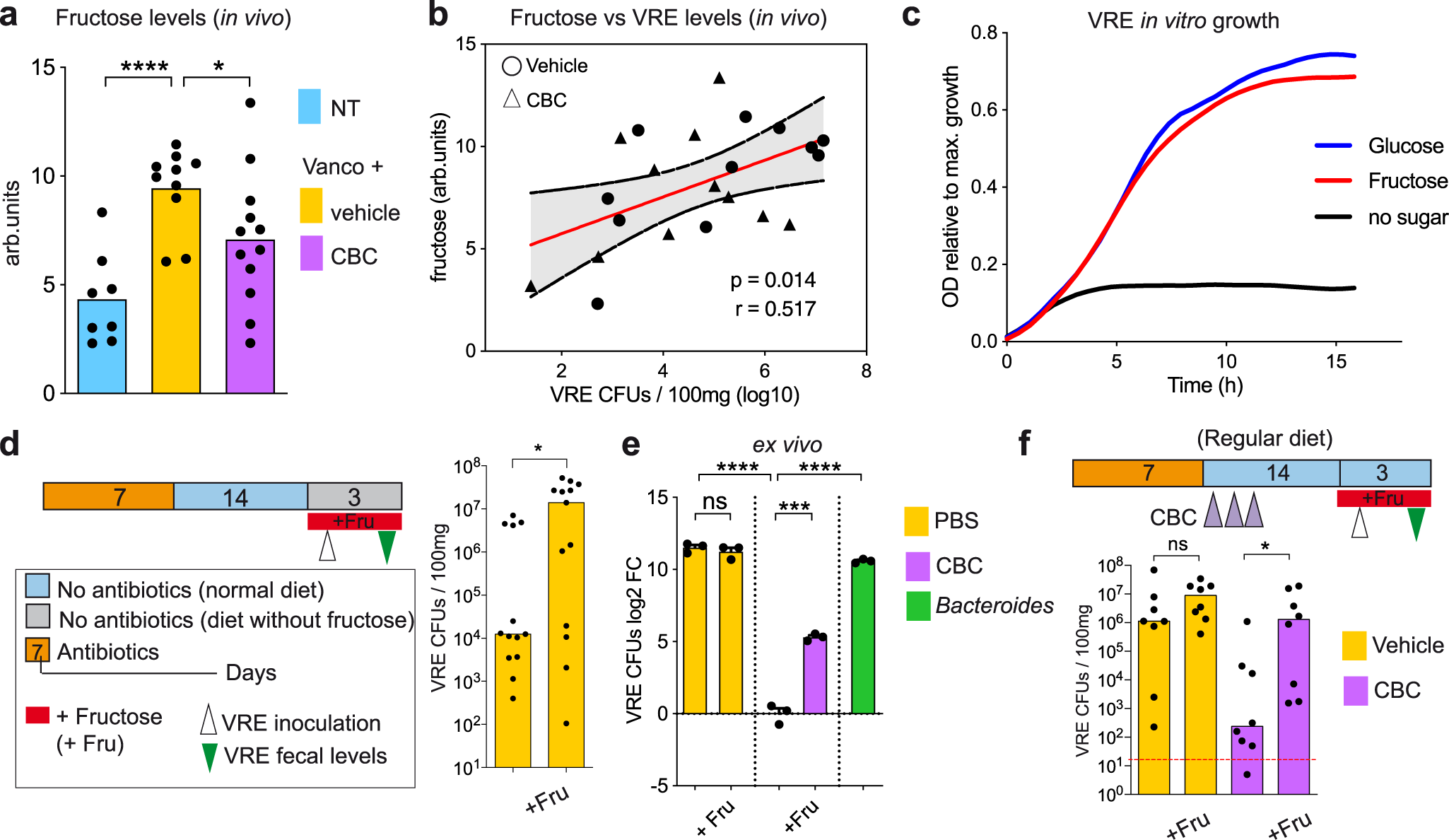 Fig. 4: The commensal bacterial consortium (CBC) restricts vancomycin-resistant Enterococcus (VRE) intestinal colonization through nutrient competition by depleting fructose, a sugar that boosts VRE growth in vivo.