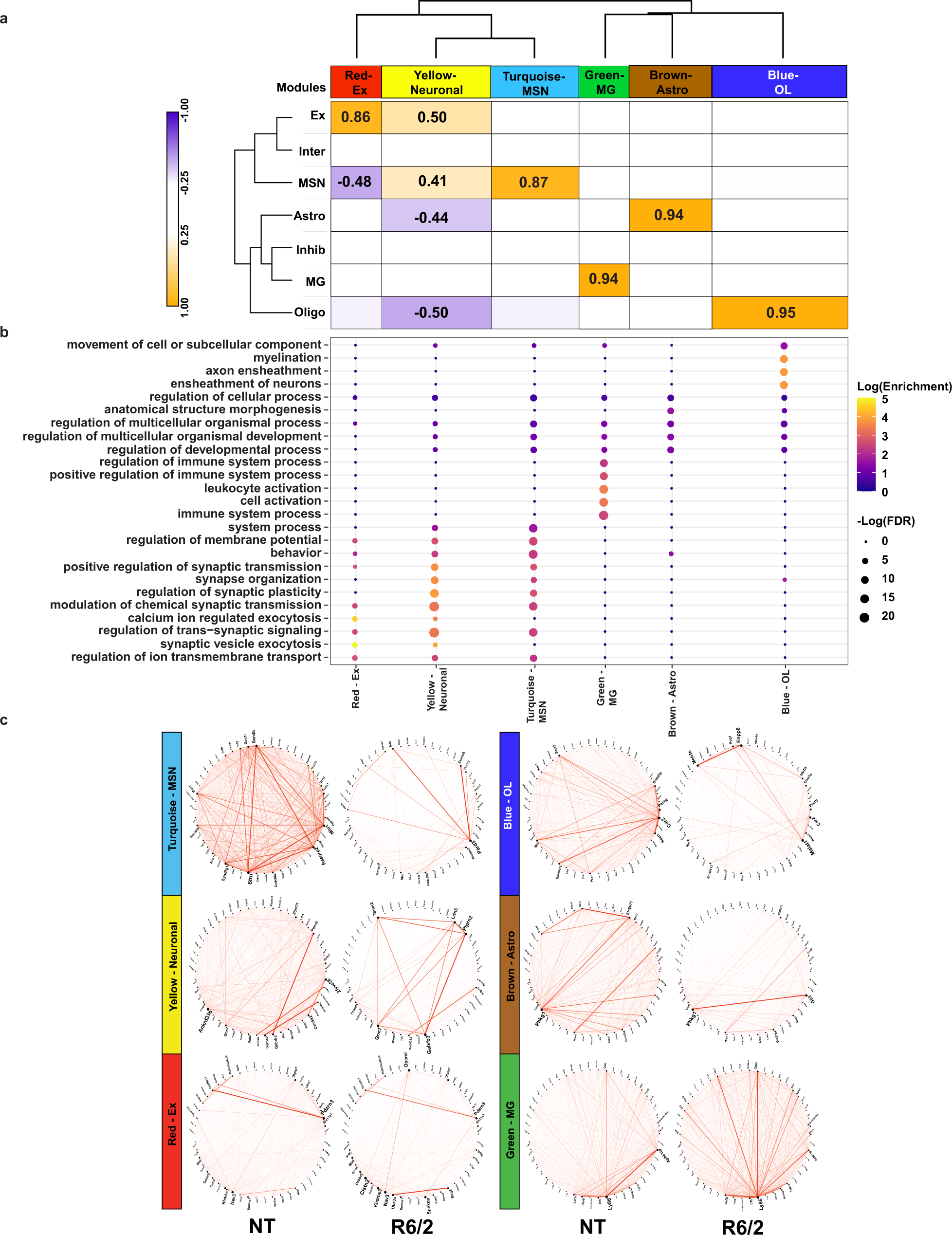 Fig. 3: WGCNA analysis of R6/2 mouse snRNAseq data shows cell type-specific changes in network structure.