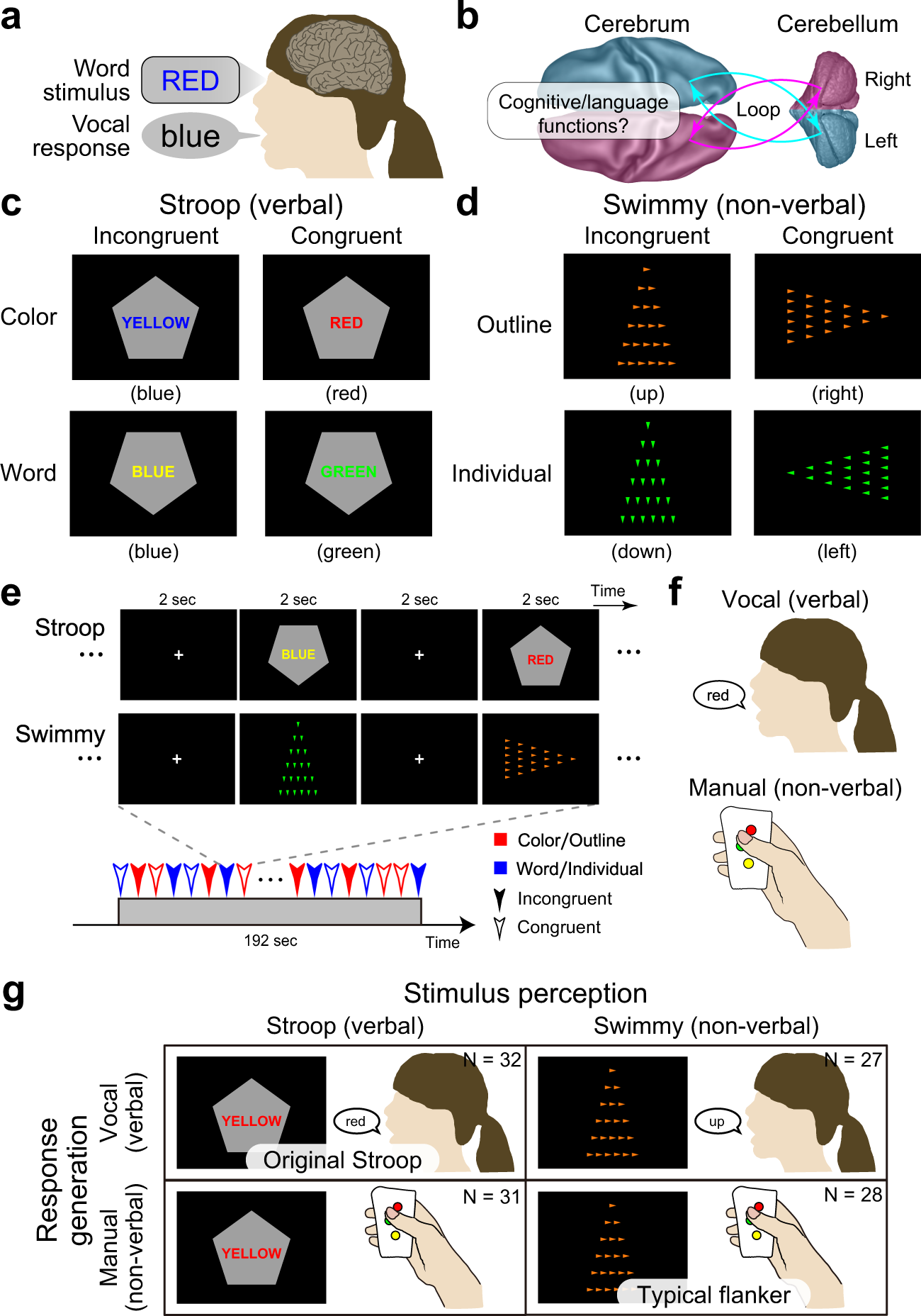 The Stroop effect involves an excitatory–inhibitory fronto-cerebellar loop  | Nature Communications