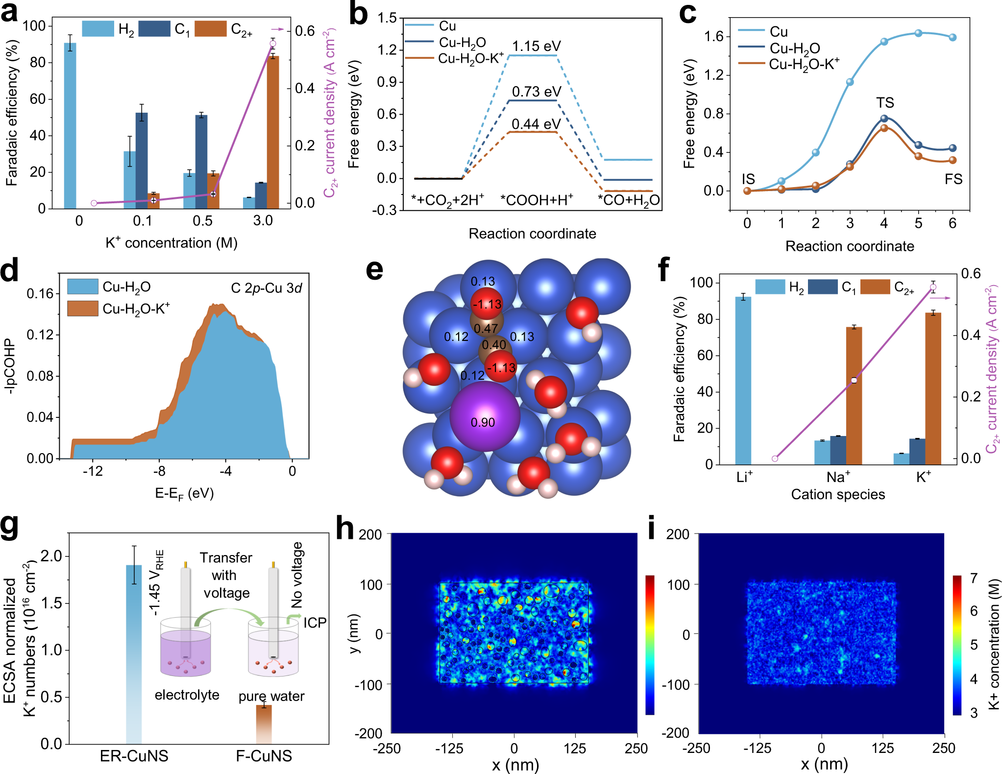 Fig. 3: Mechanistic studies.