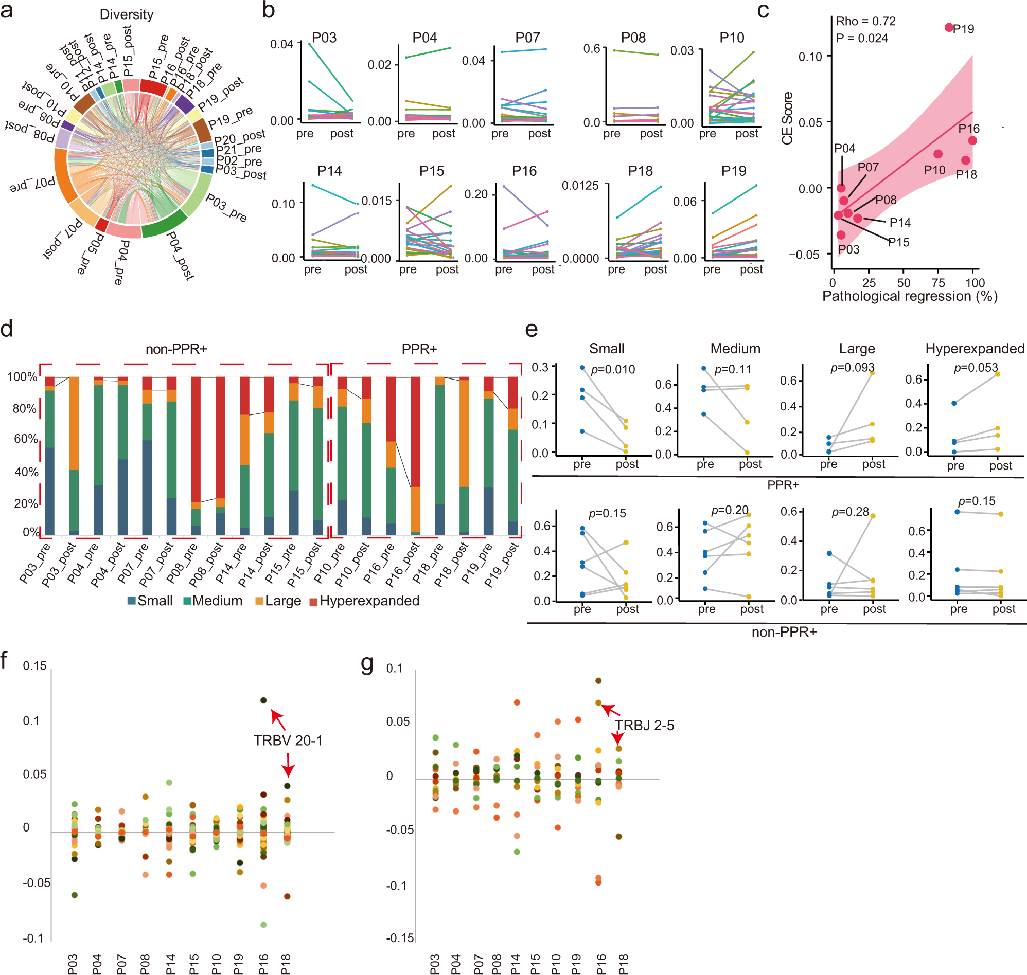 Fig. 6: T cell repertoire and dynamic changes.