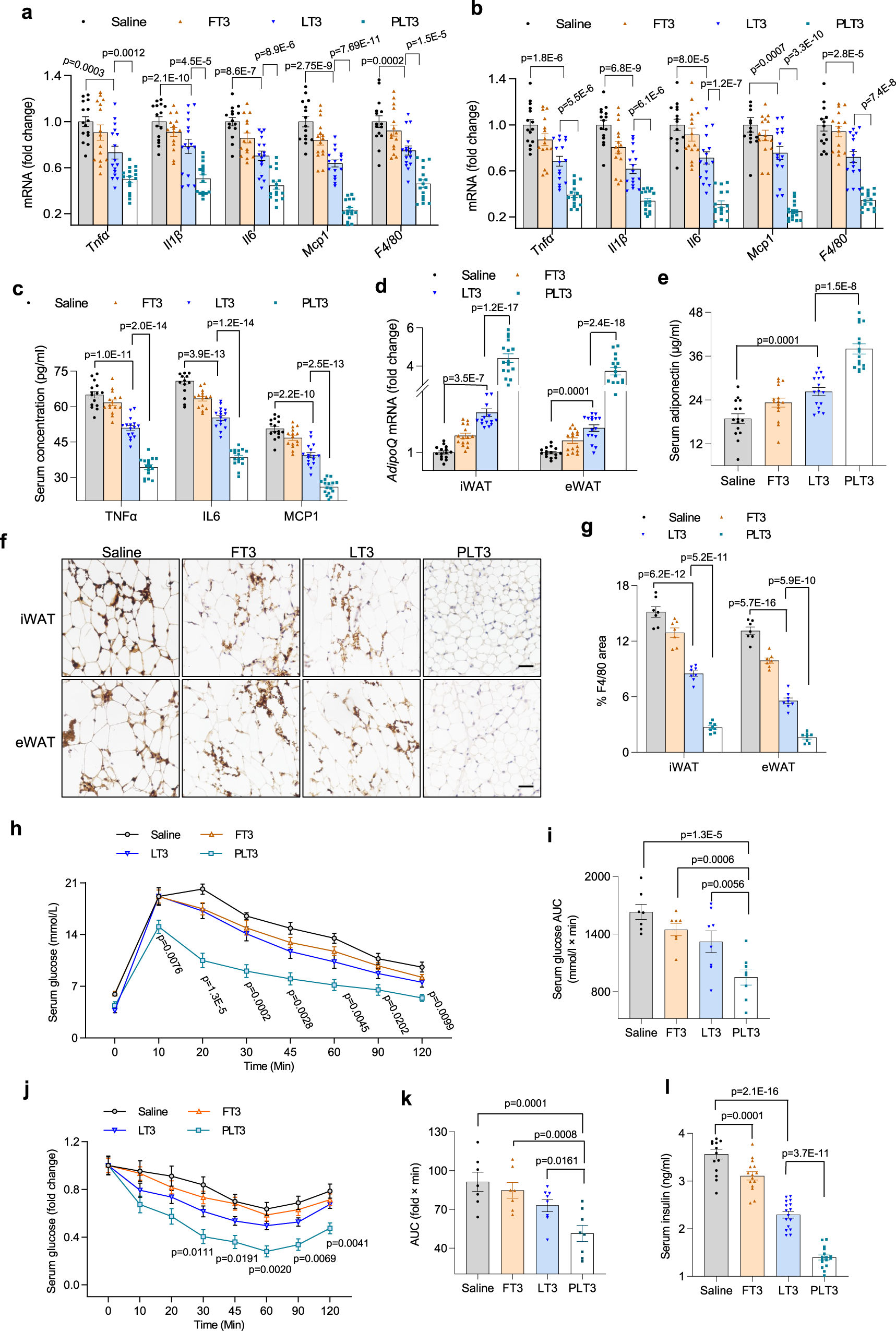 Fig. 5: PLT3 is more effective than FT3 and LT3 in reducing obesity-evoked adipose inflammation, glucose intolerance, and hyperinsulinemia.