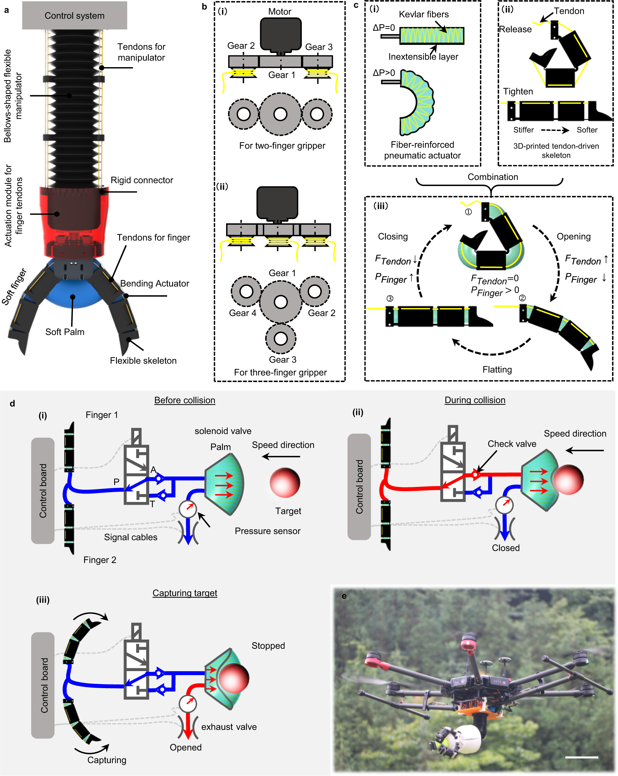 Finger-palm synergistic soft gripper for dynamic capture via 