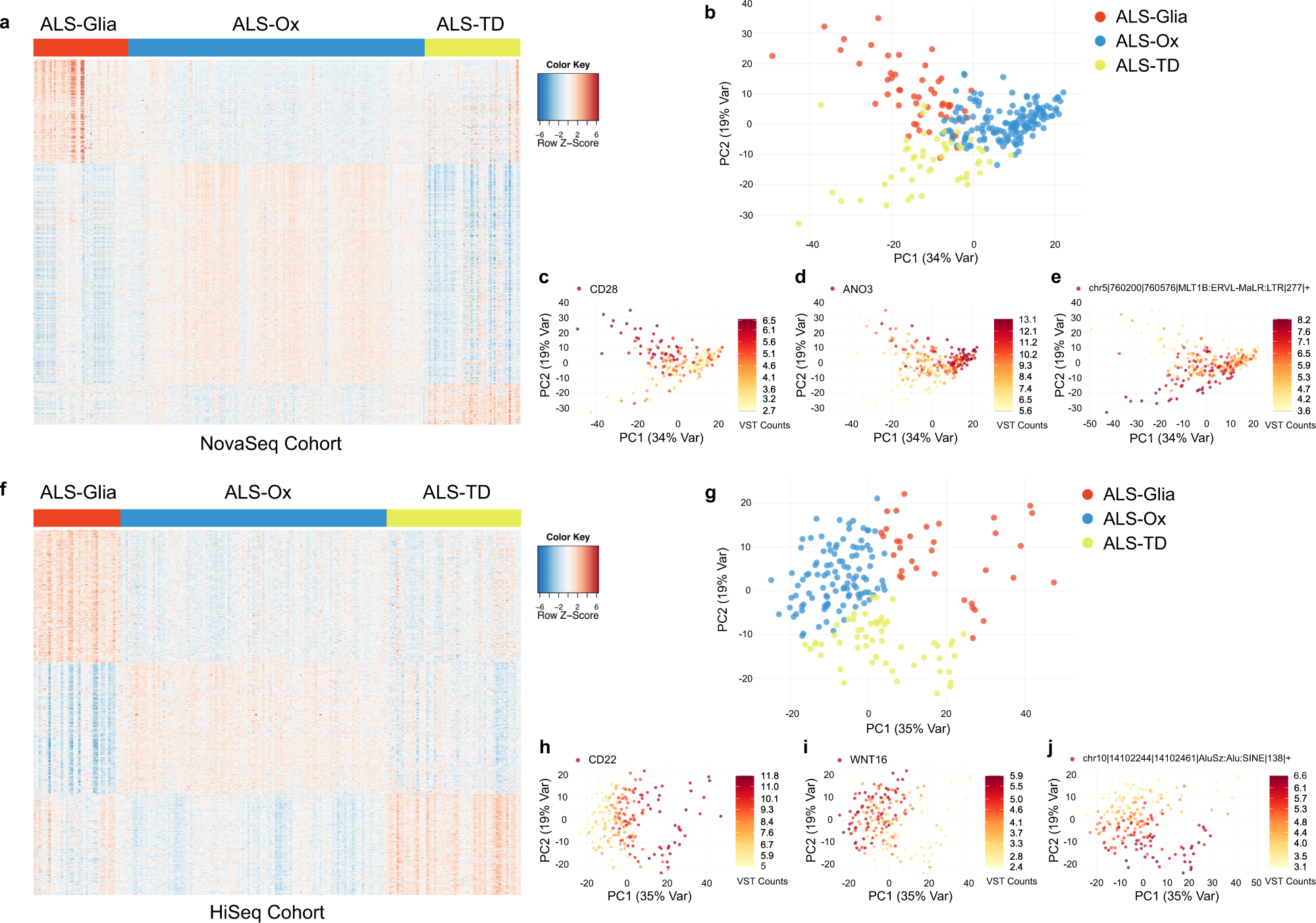 Molecular subtypes of ALS are associated with differences in