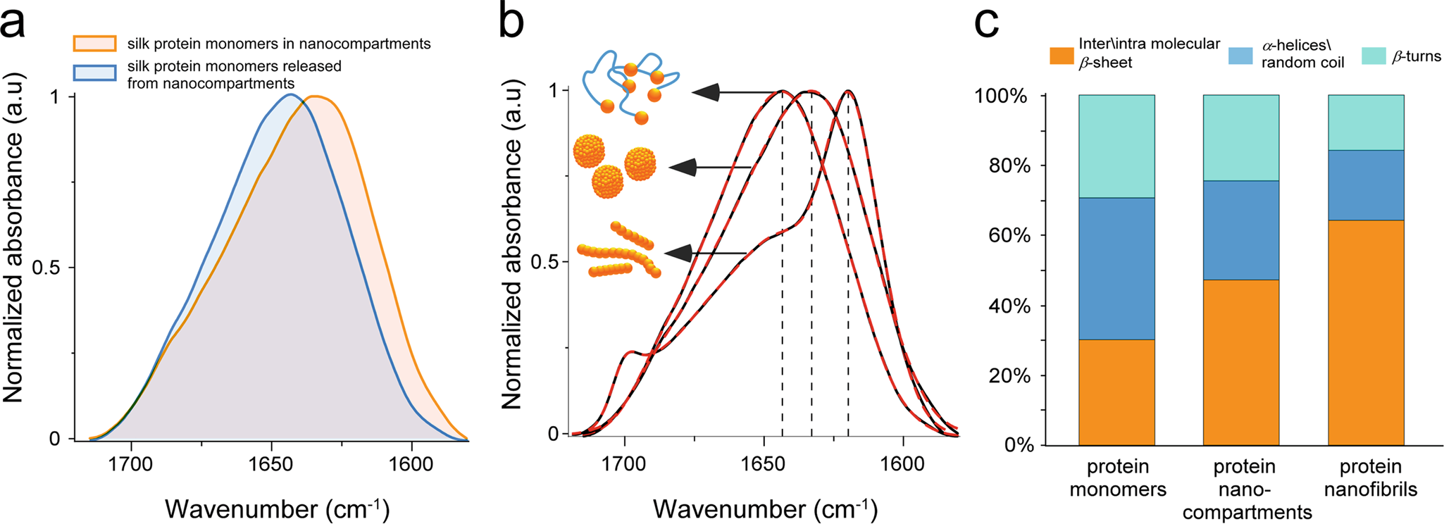Fig. 2: Bulk Fourier Transform Infrared spectroscopy (FTIR) analysis of supramolecular silk fibroin assembly states.